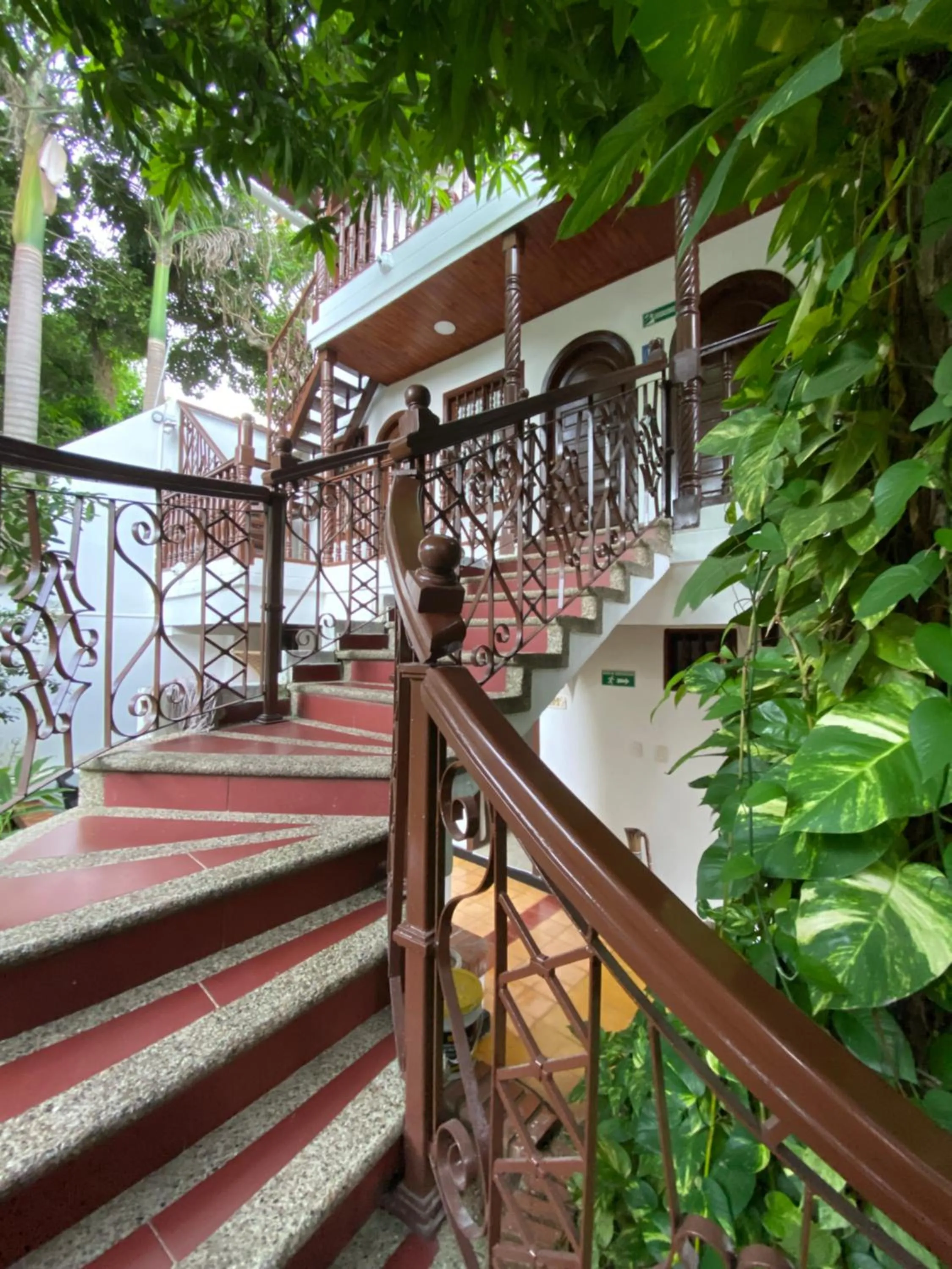 Garden in Hotel Casa Colonial