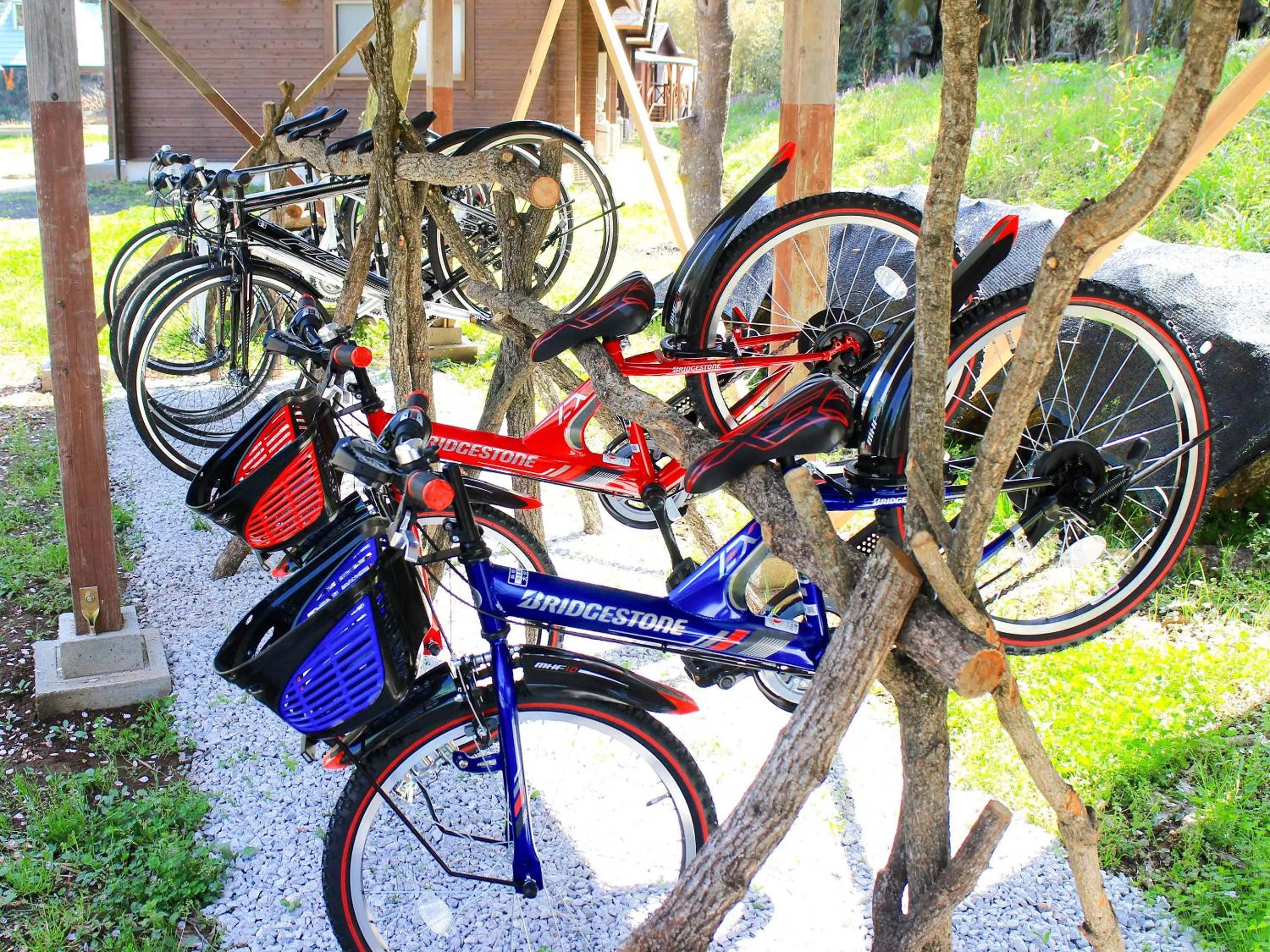 Area and facilities in Lodge Kiyokawa