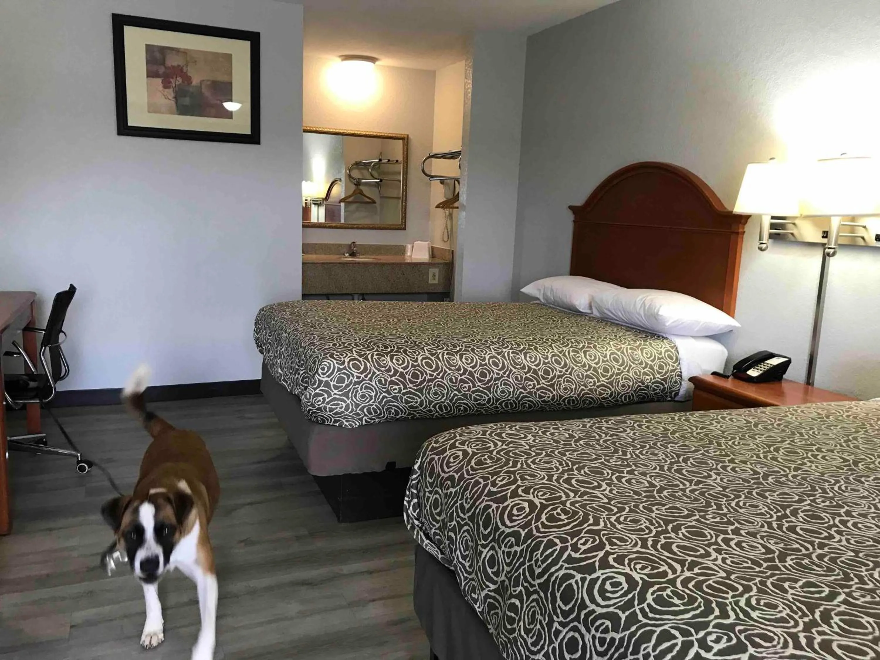 Pets, Bed in Walnut Inn - Checotah