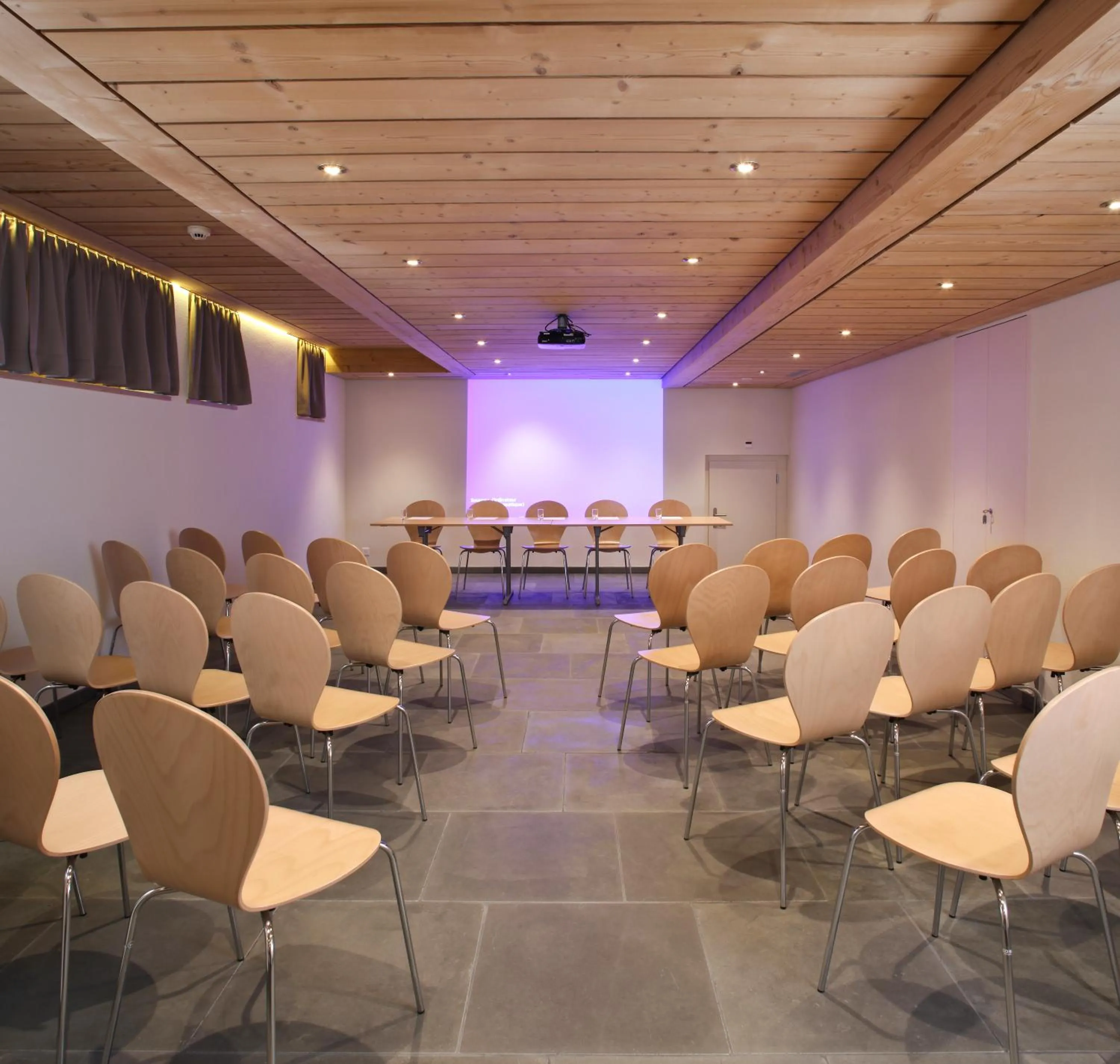 Business facilities in Helvetia hotel