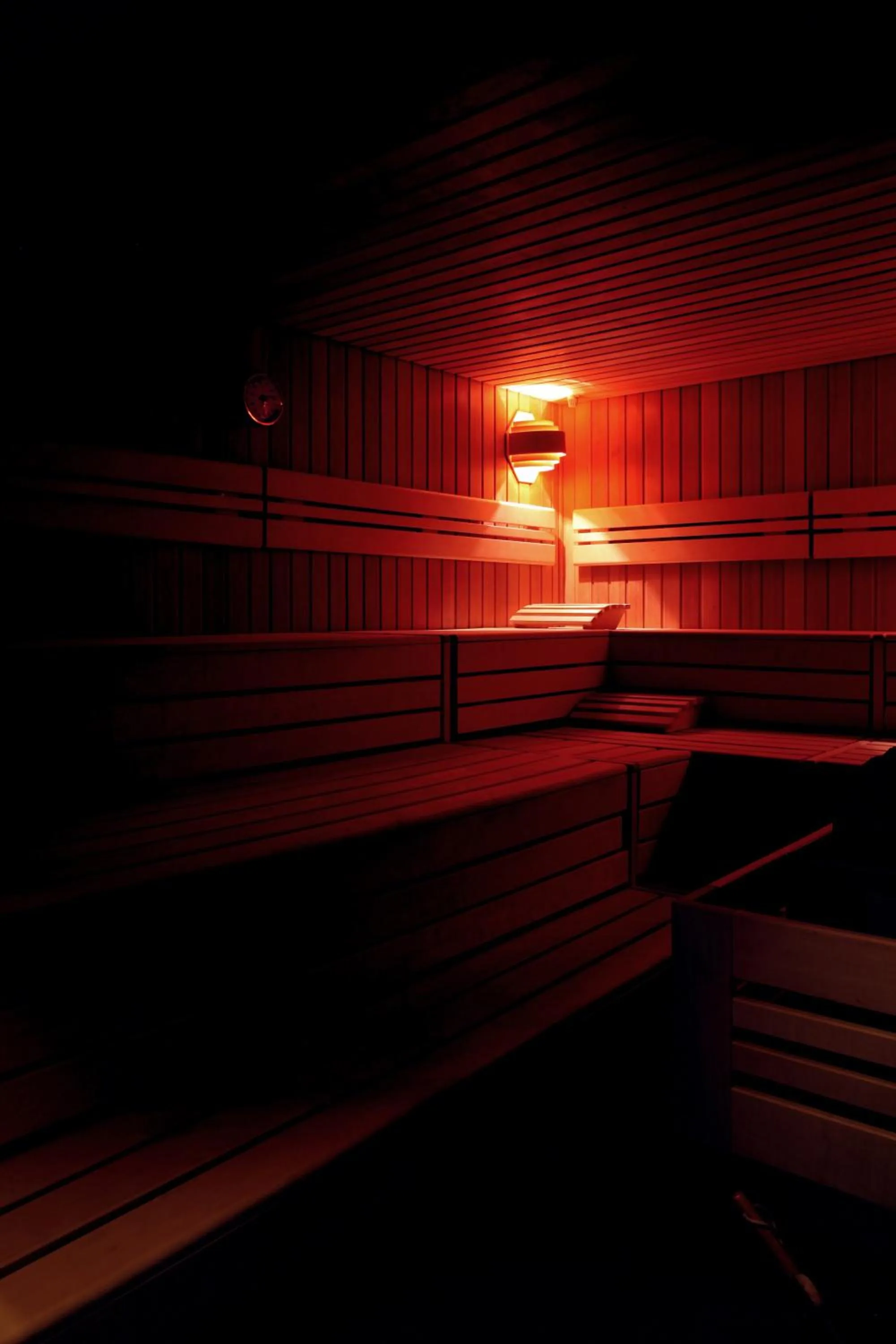 Spa and wellness centre/facilities in Helvetia hotel