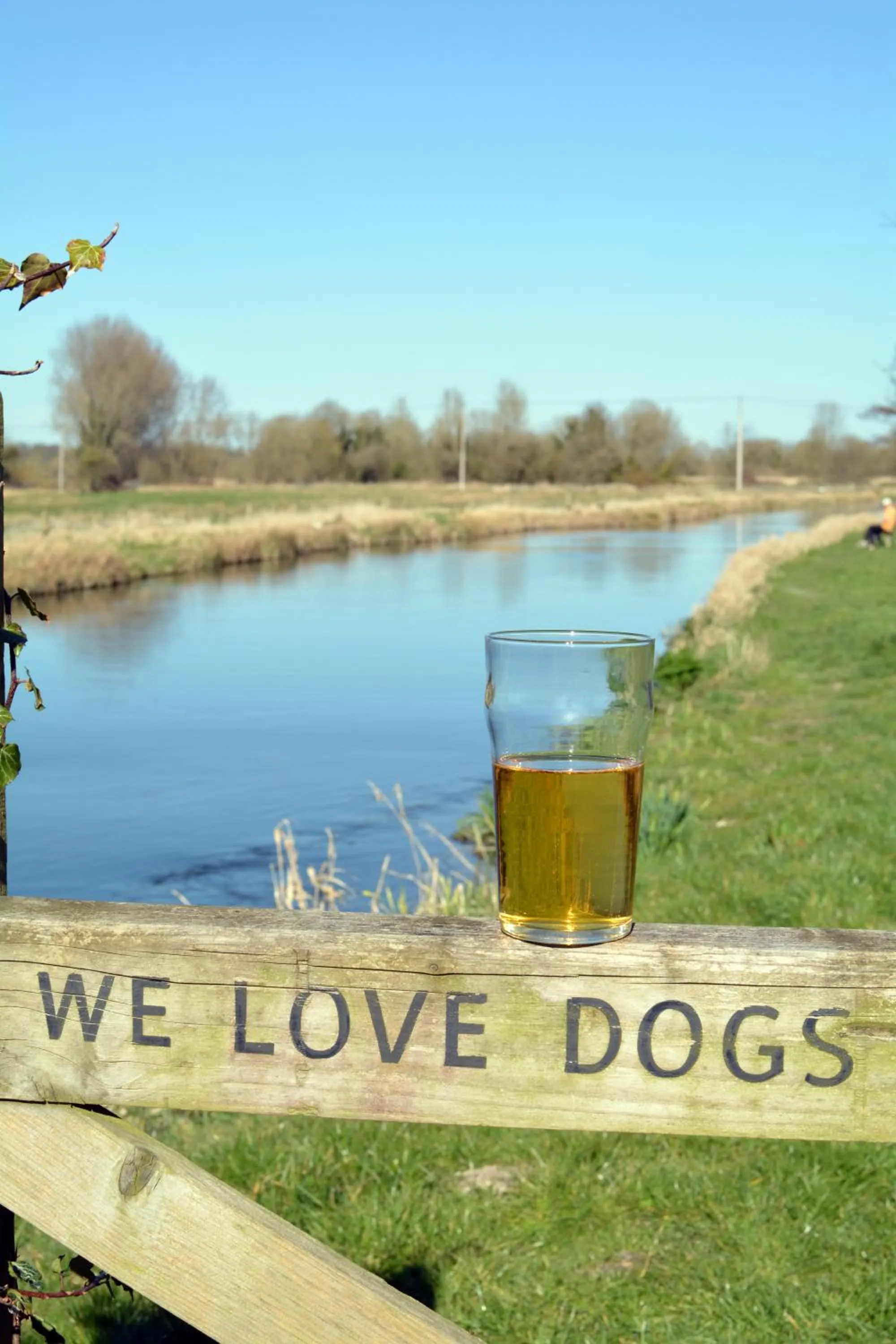 The Greyhound on the Test Hotel