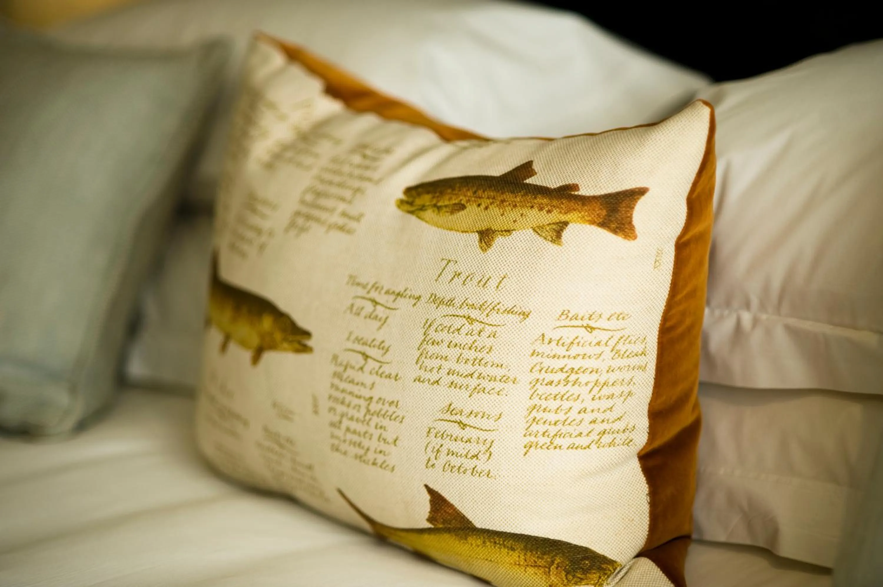 The Greyhound on the Test Hotel