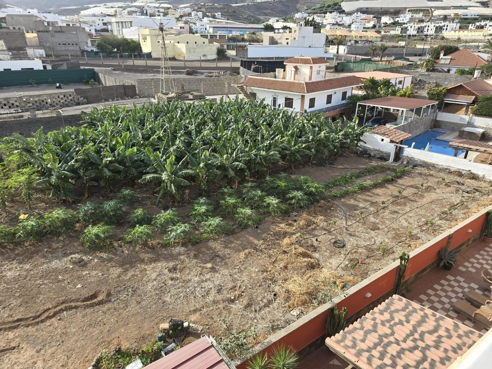 Garden in Hotel La Aldea Suites