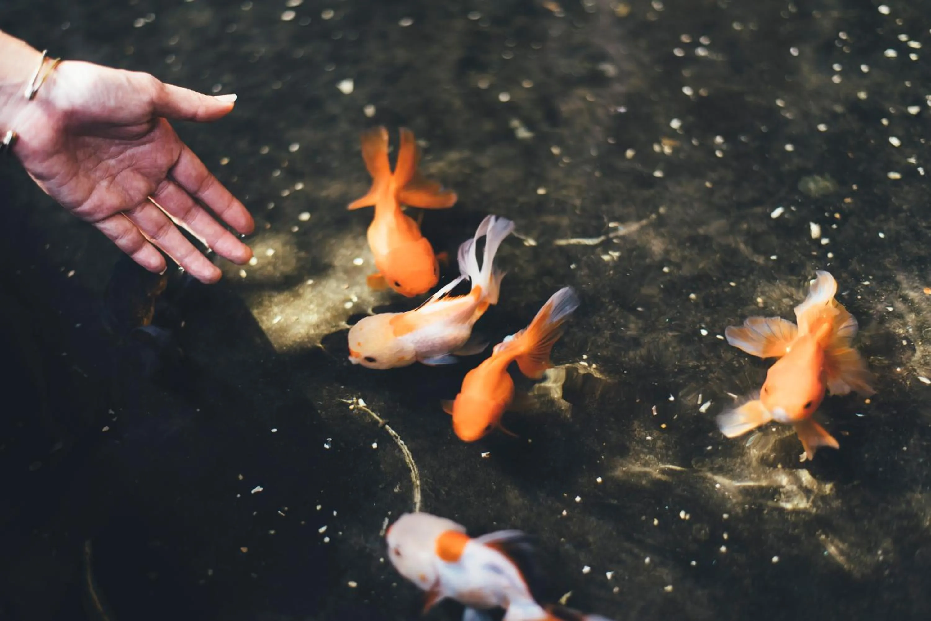 Property building in Marine Beach Hotel Pattaya - SHA Plus