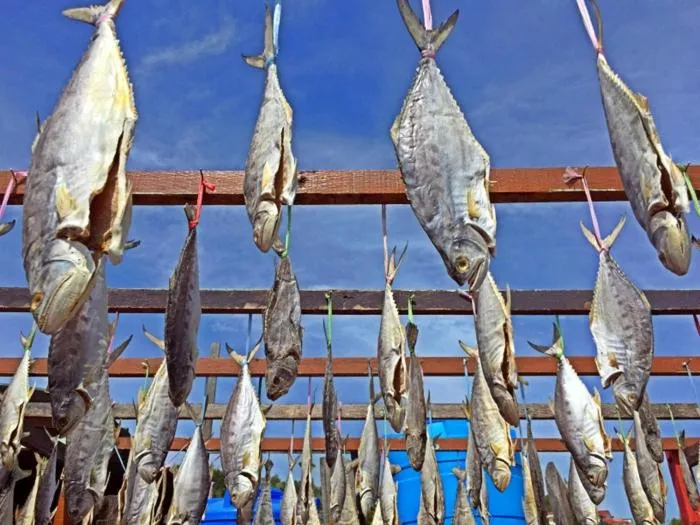 Restaurant/places to eat in Hello Kitty Signature Suite