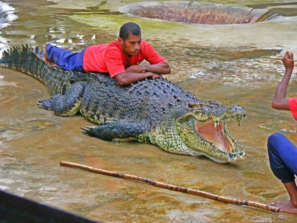 Nearby landmark in Hello Kitty Signature Suite