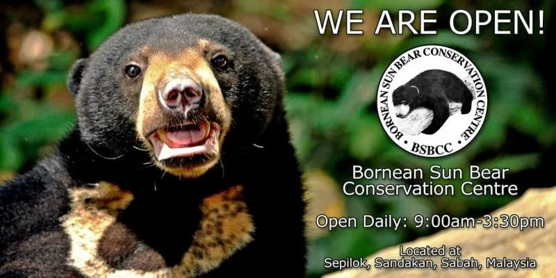 Nearby landmark in Hello Kitty Signature Suite