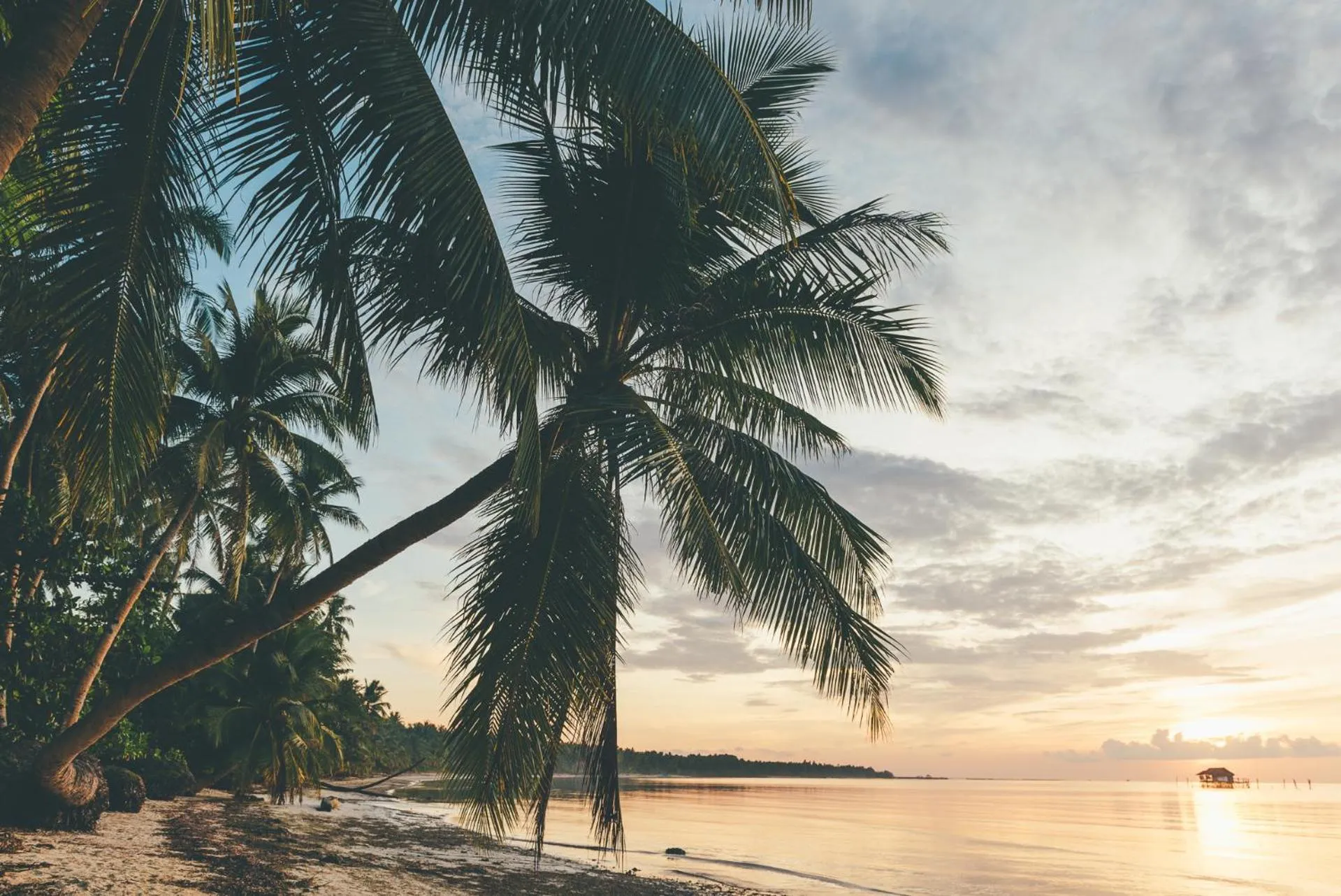 Natural landscape in Soultribe Beach Retreat