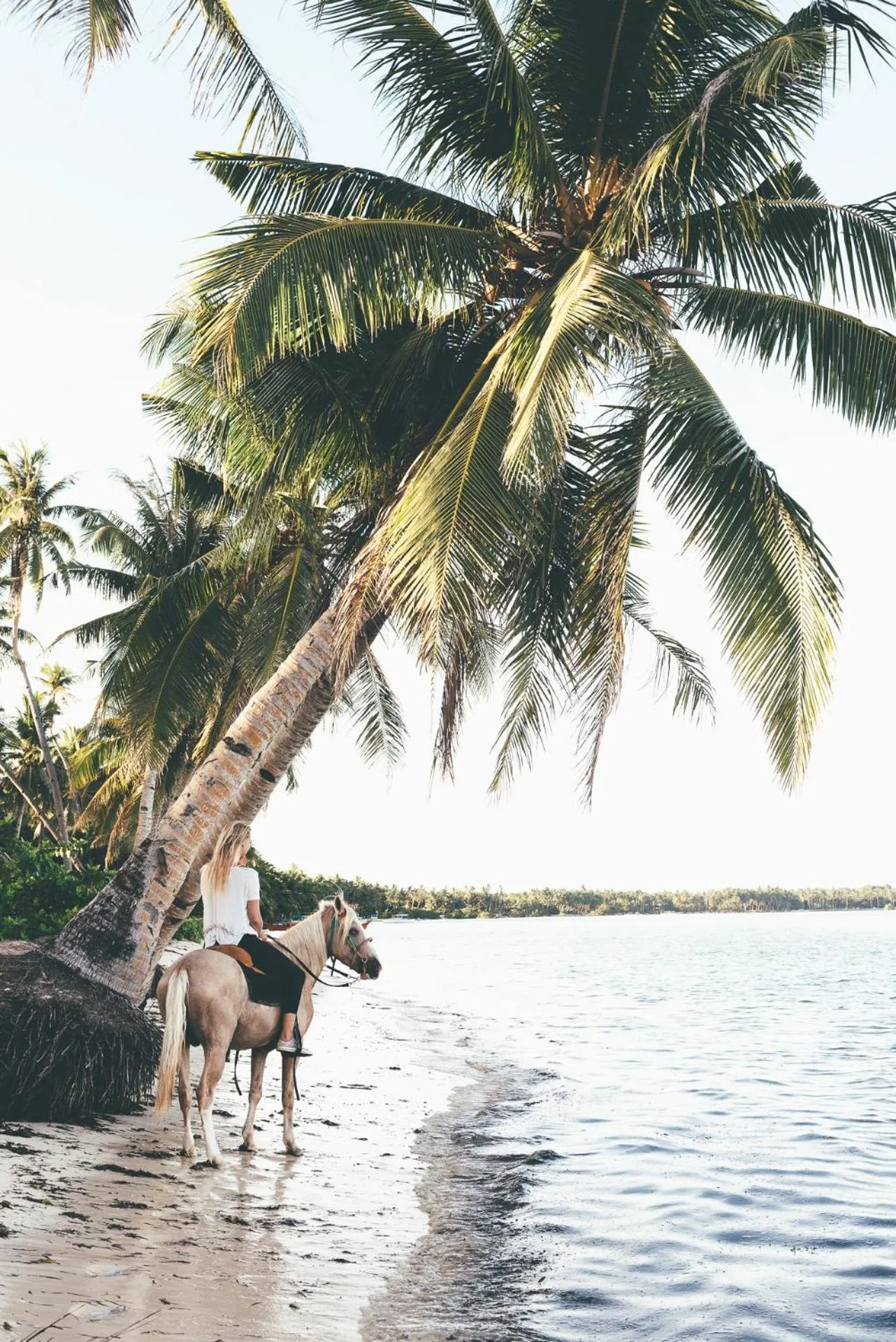 Beach in Soultribe Beach Retreat