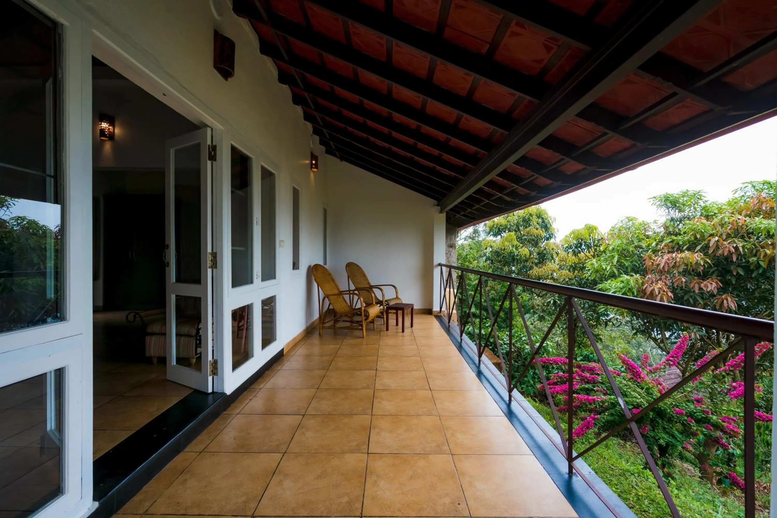 After the Rains - Rainforest Lodge