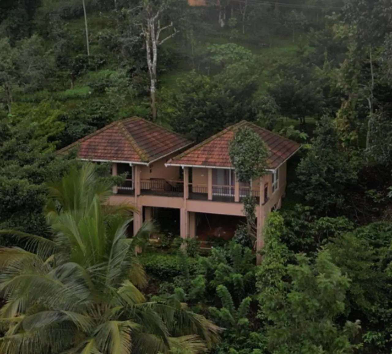 After the Rains - Rainforest Lodge