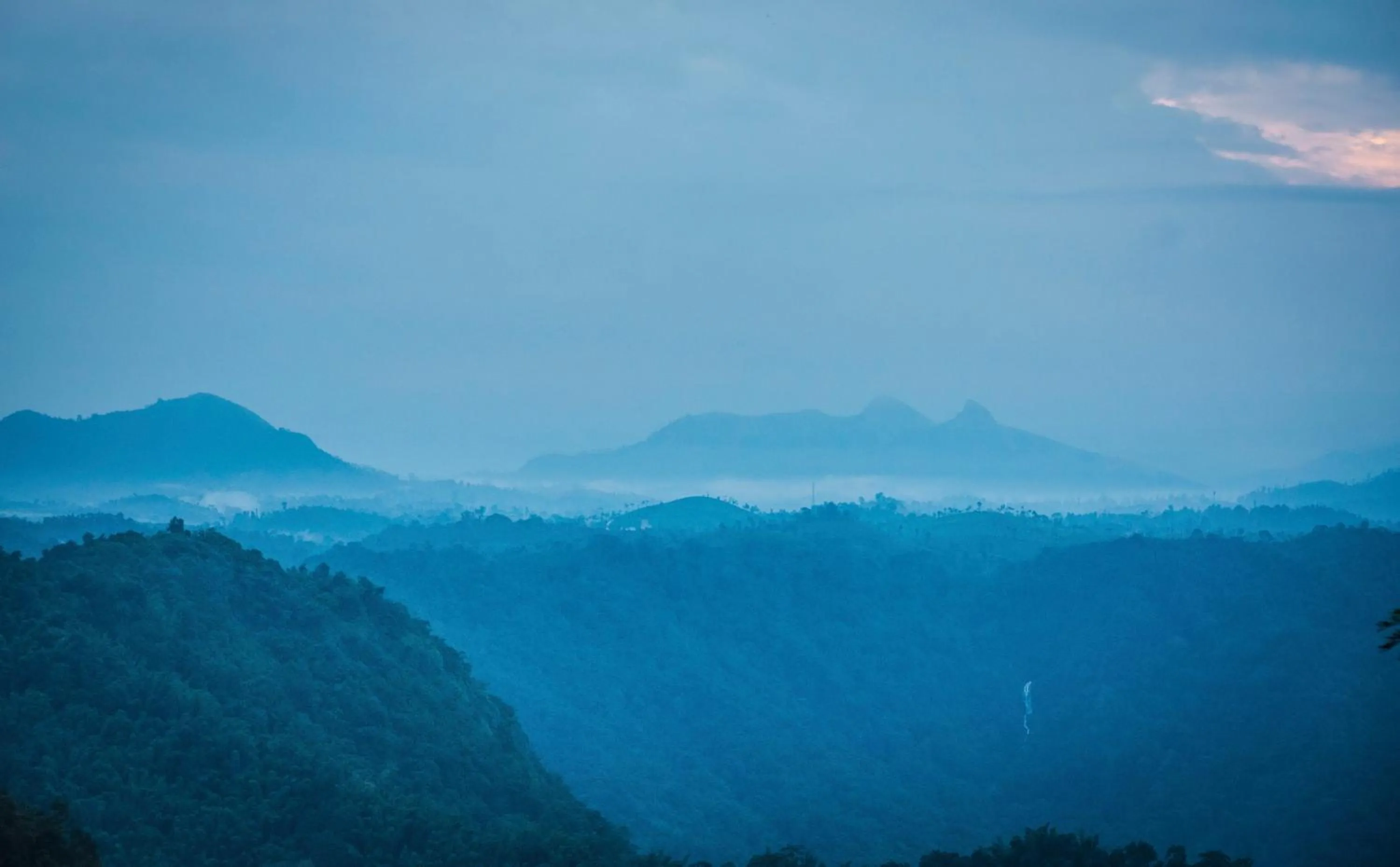 After the Rains - Rainforest Lodge