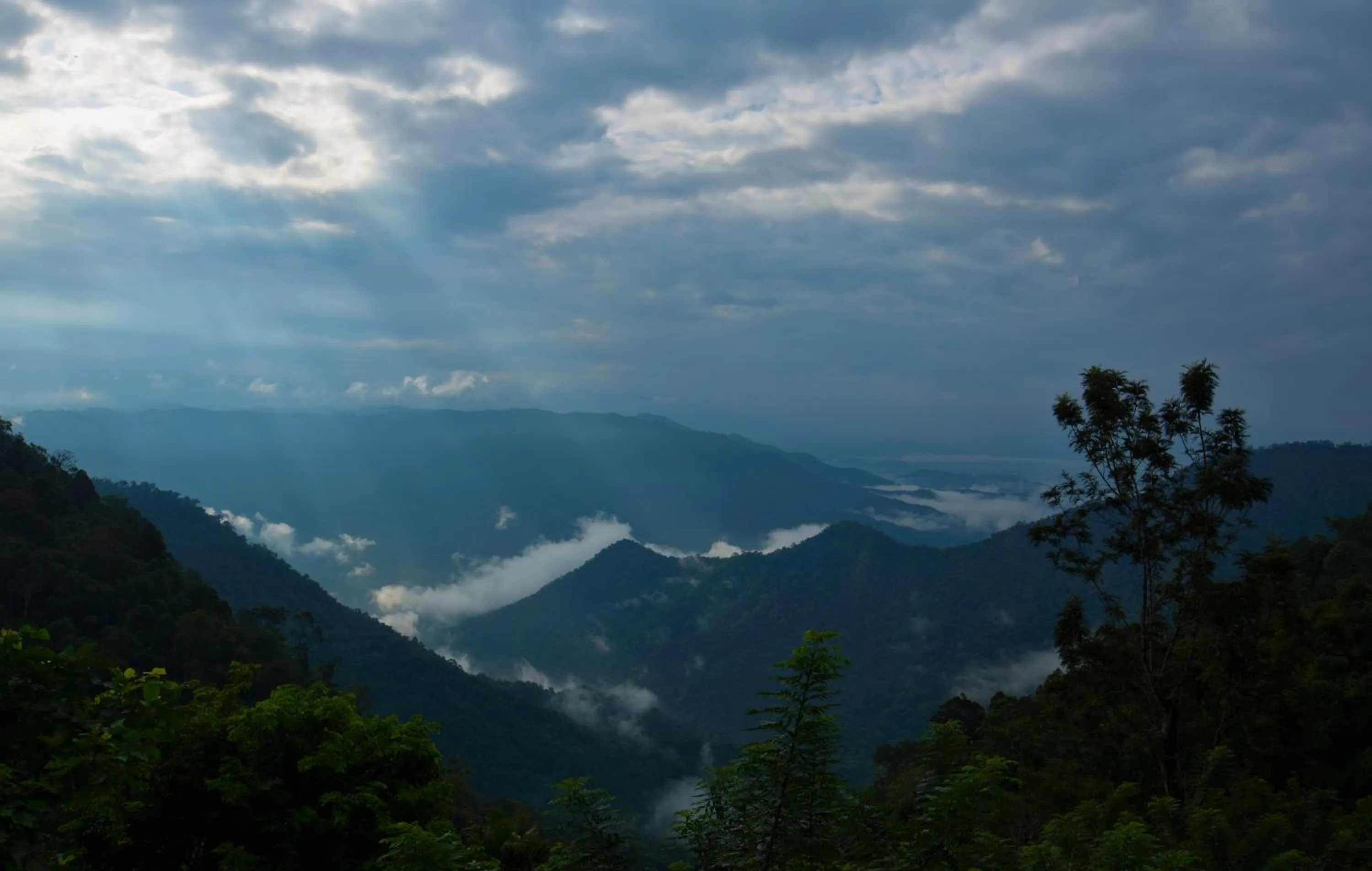 After the Rains - Rainforest Lodge