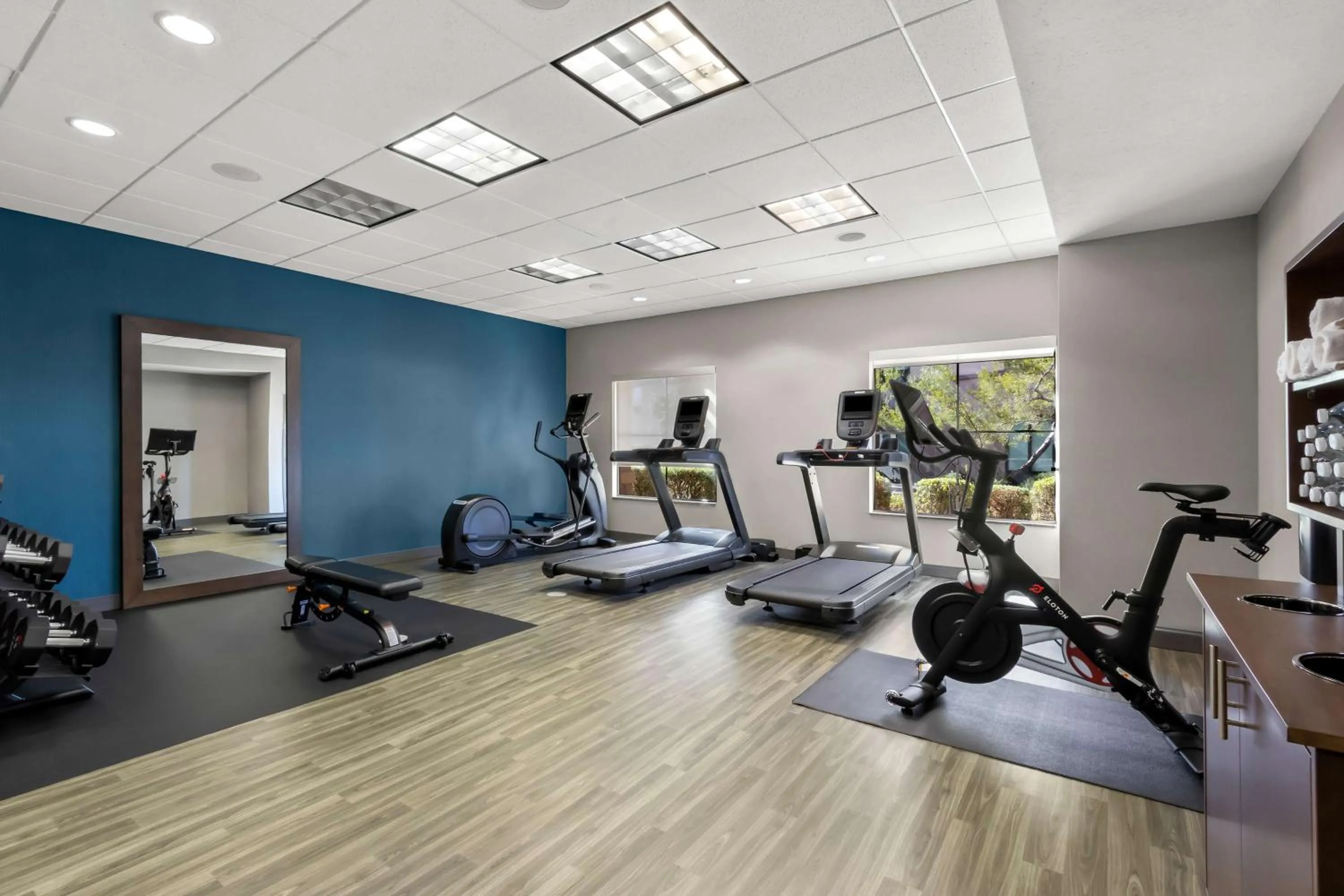 Fitness centre/facilities in Hampton Inn & Suites Phoenix/Gilbert