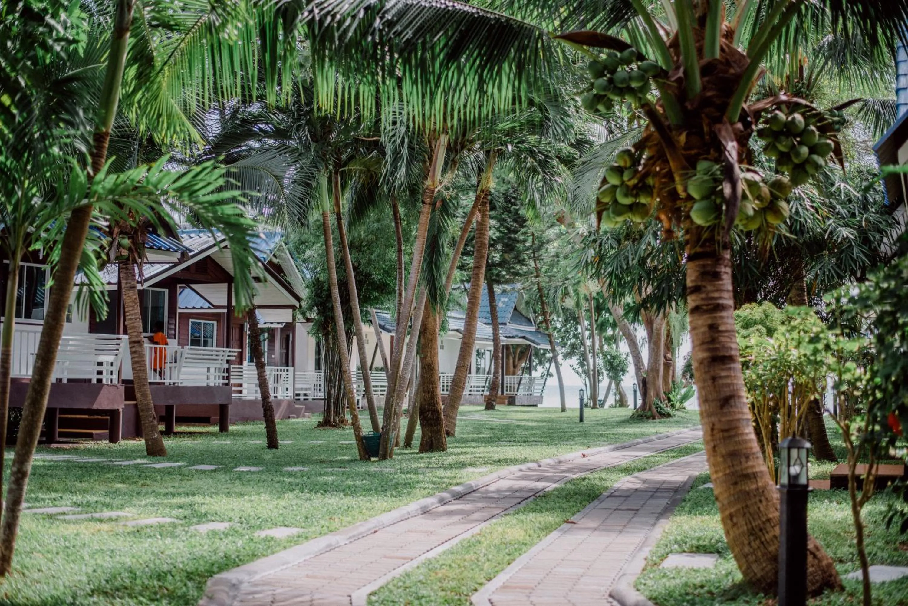 Restaurant/places to eat in Assava Dive Resort - SHA Plus