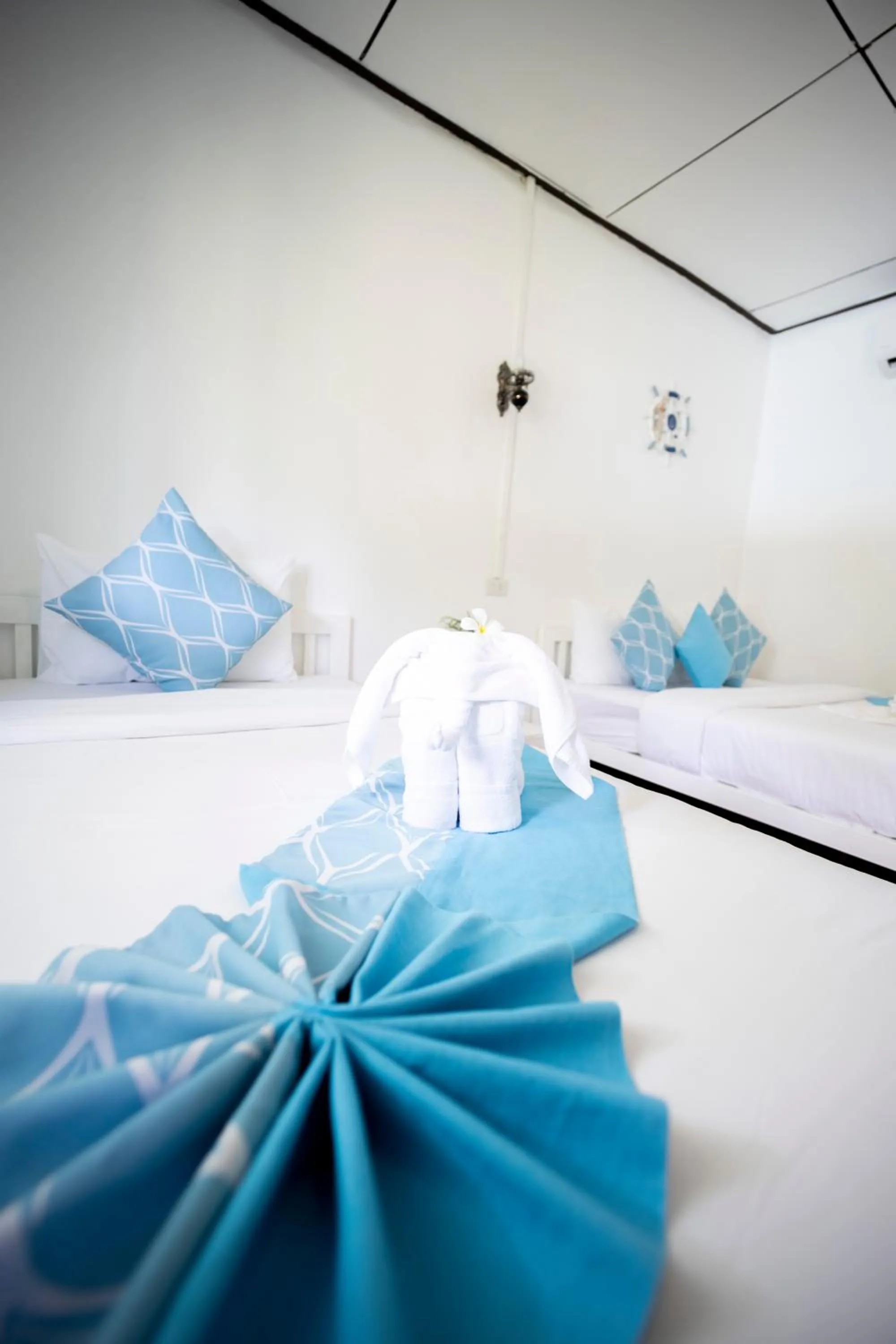 Property building in Assava Dive Resort - SHA Plus