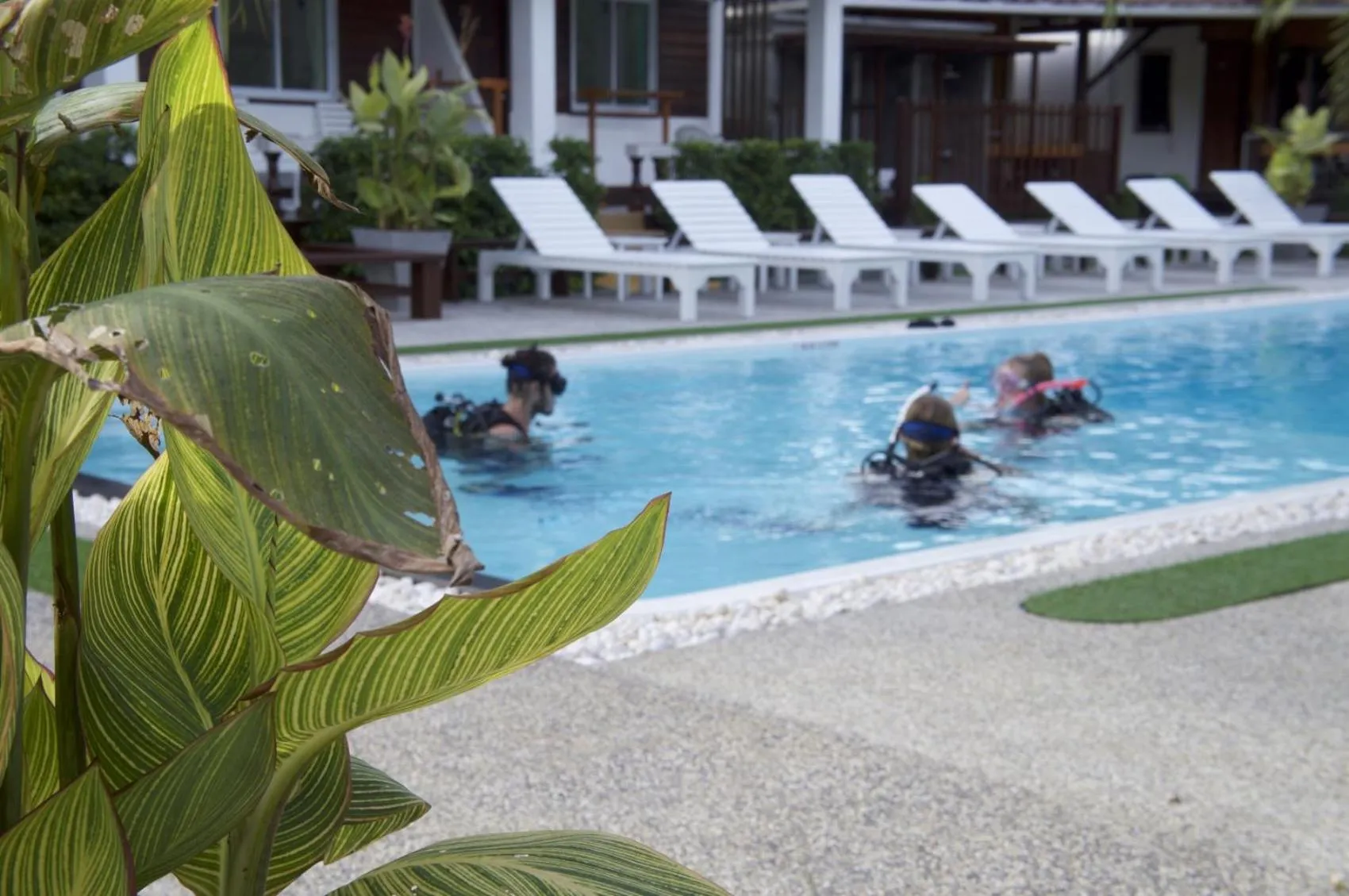 Restaurant/places to eat in Assava Dive Resort - SHA Plus