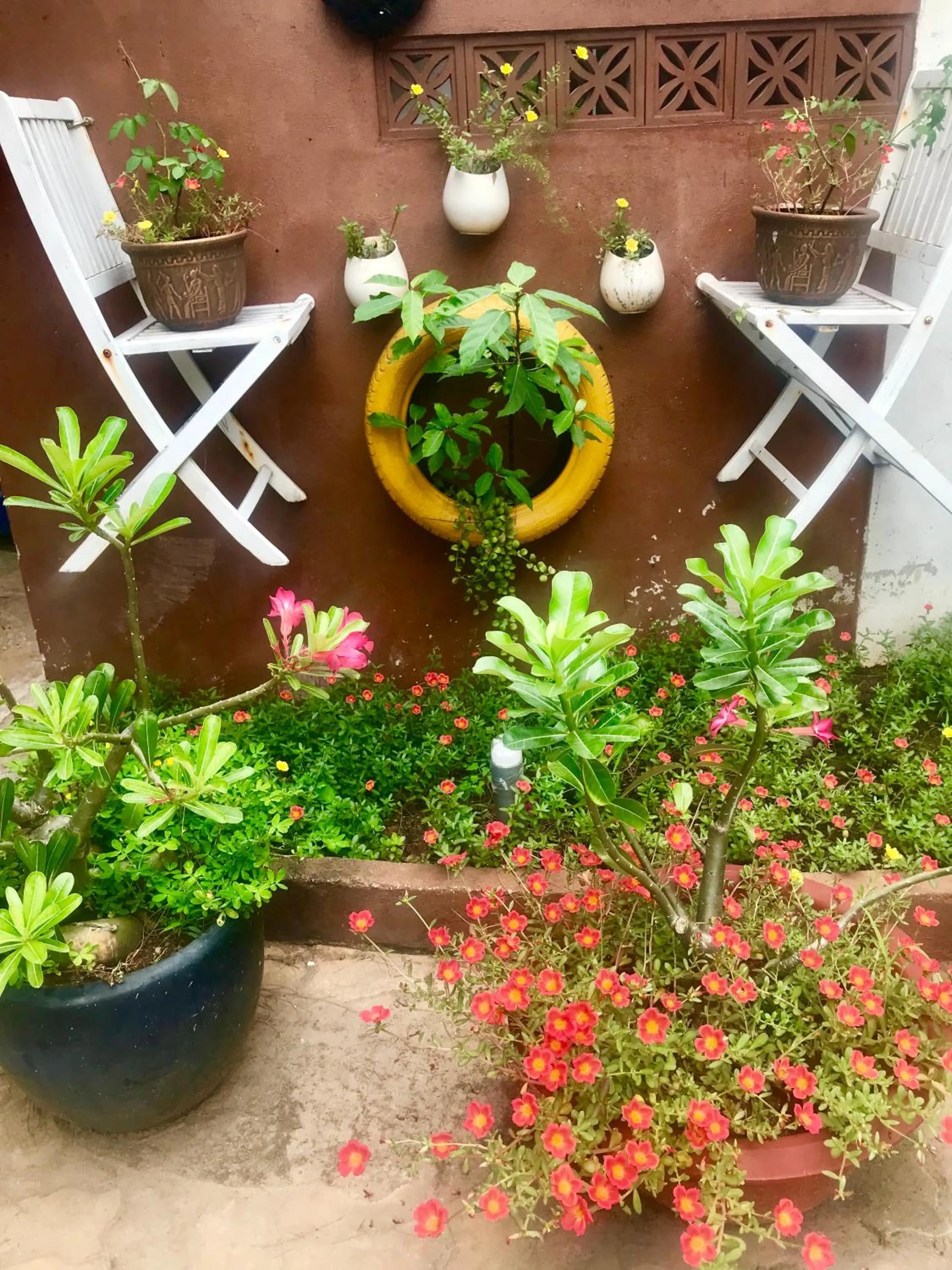 Oceanward Hotel & Resort