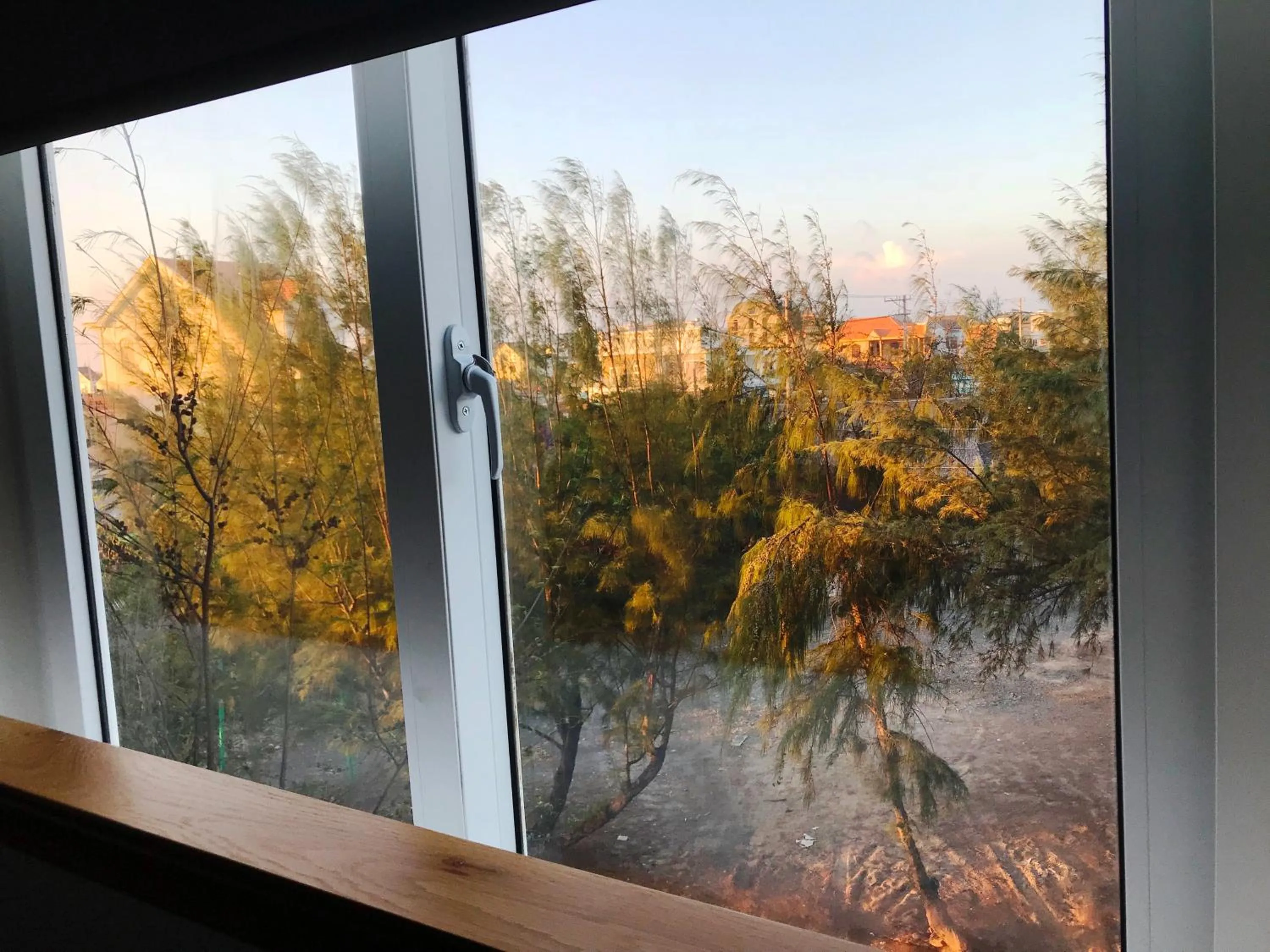 View (from property/room) in Oceanward Hotel & Resort