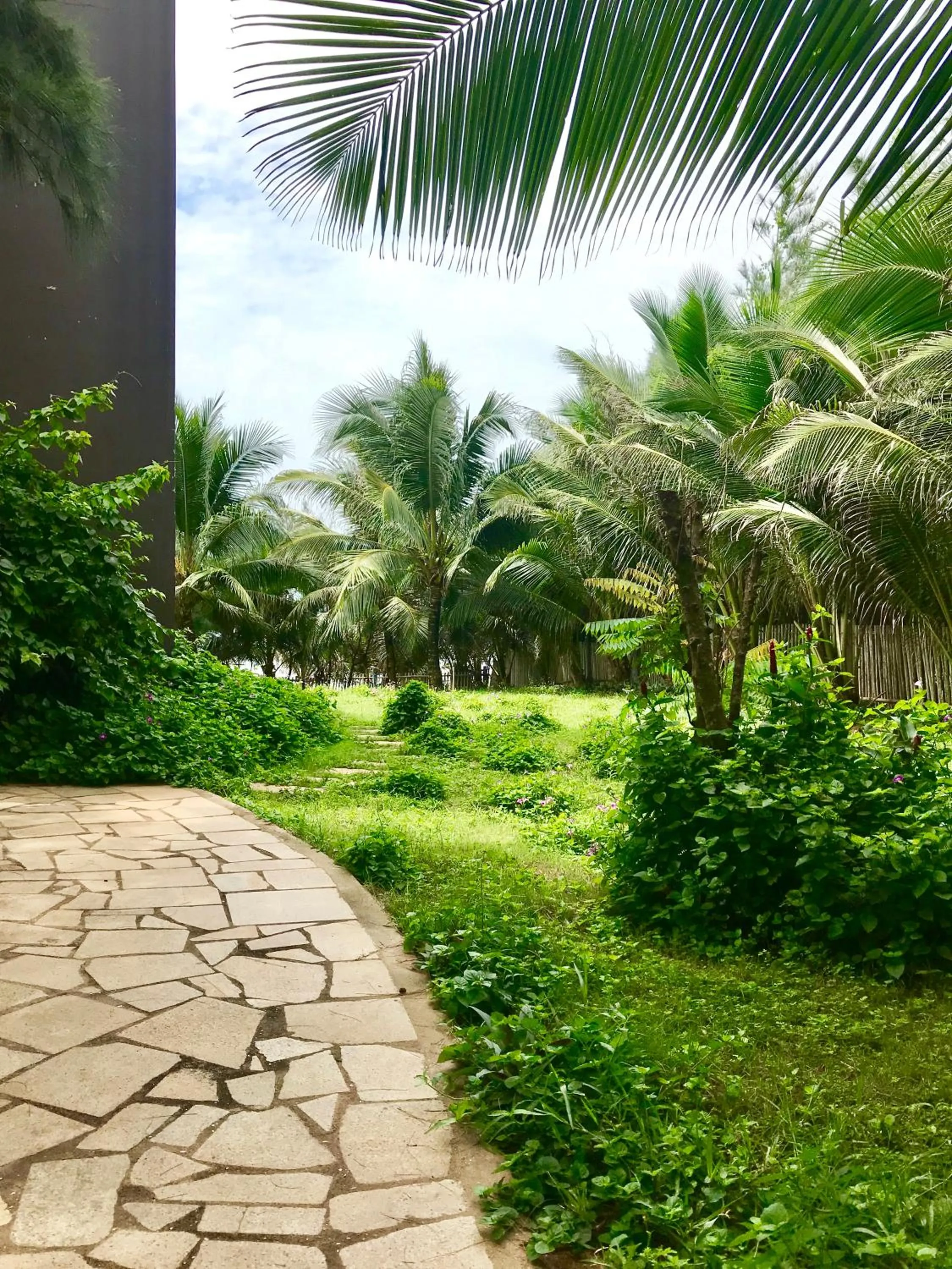 Oceanward Hotel & Resort