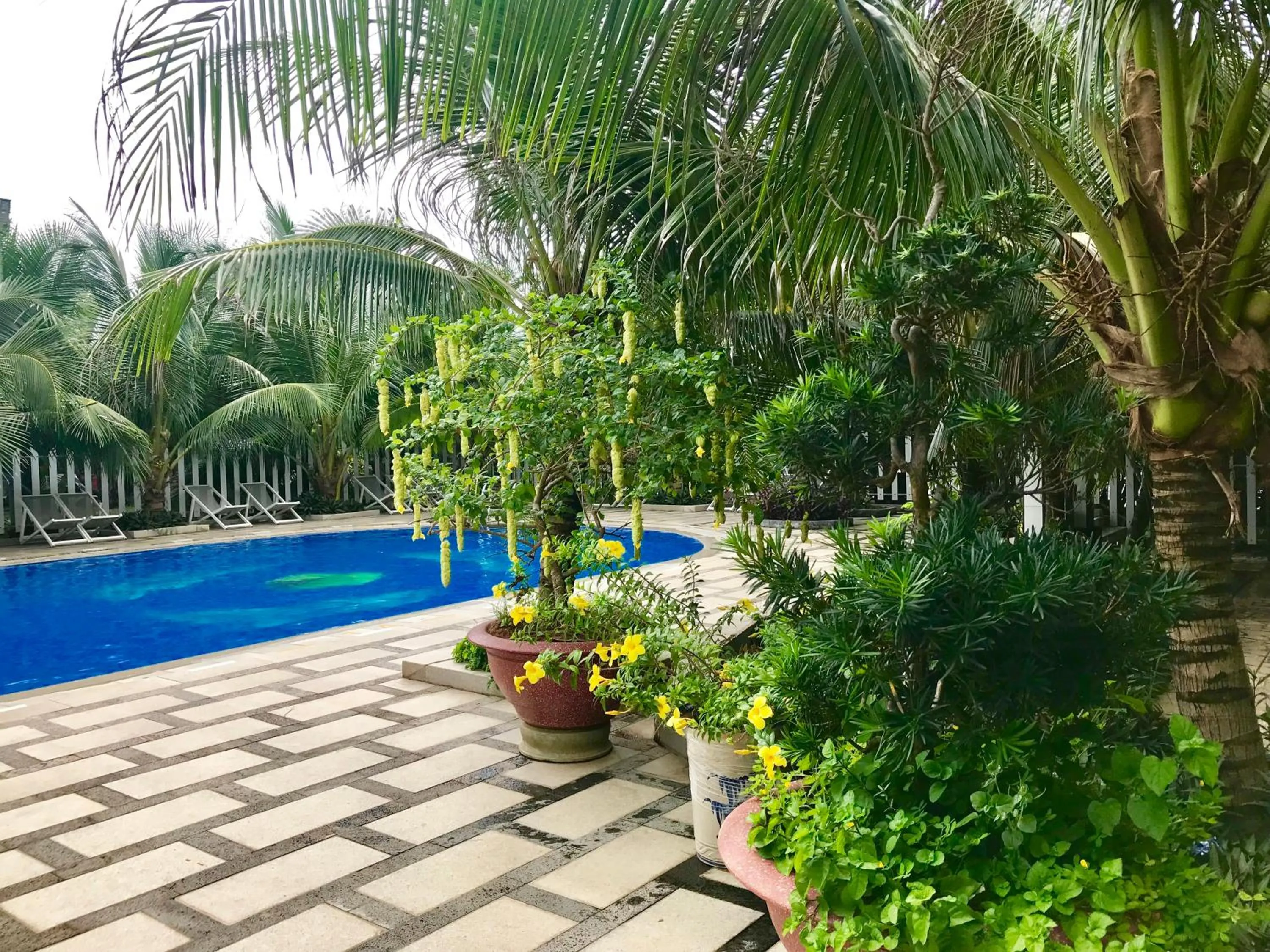 Oceanward Hotel & Resort