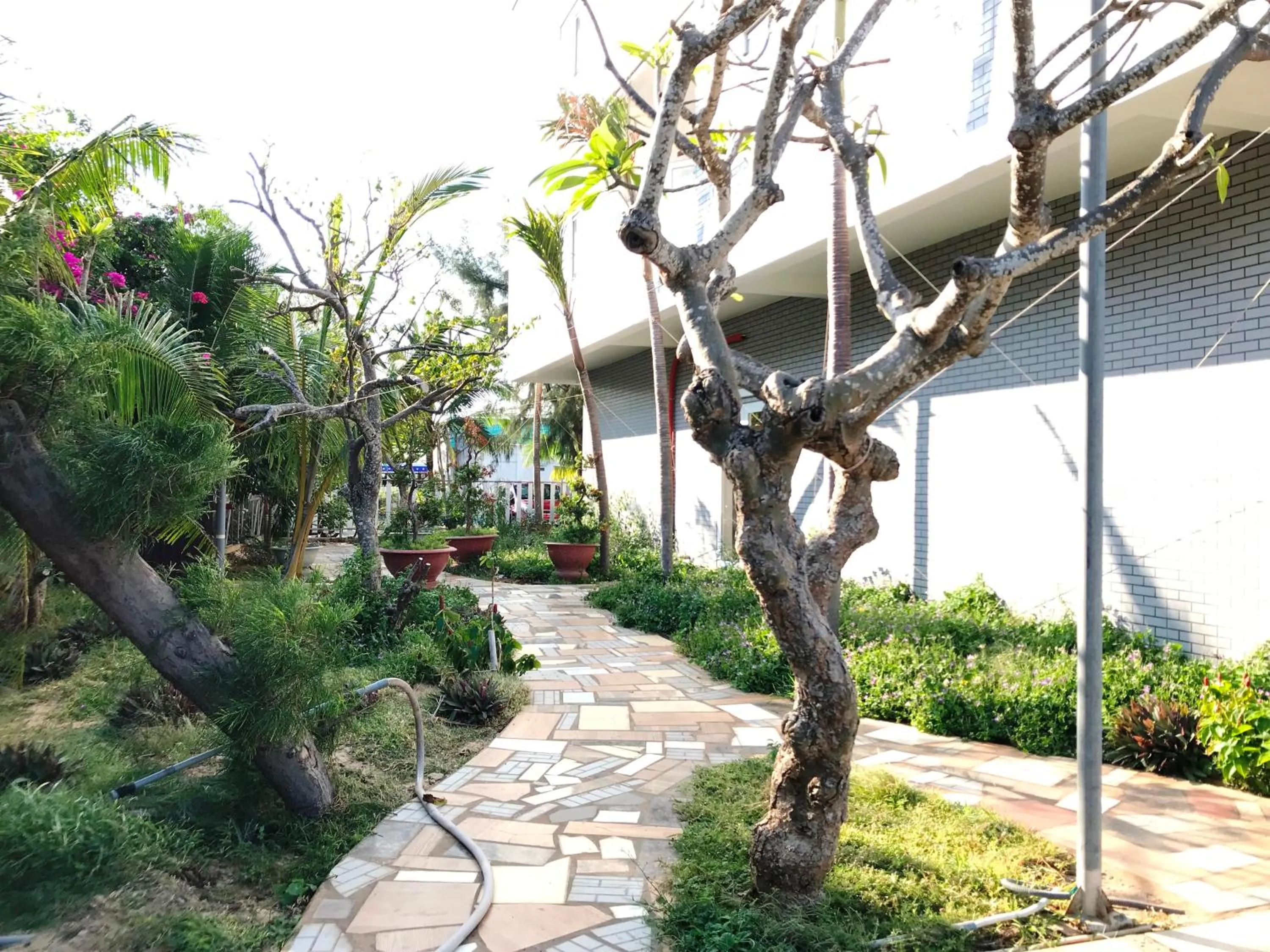 Property building in Oceanward Hotel & Resort