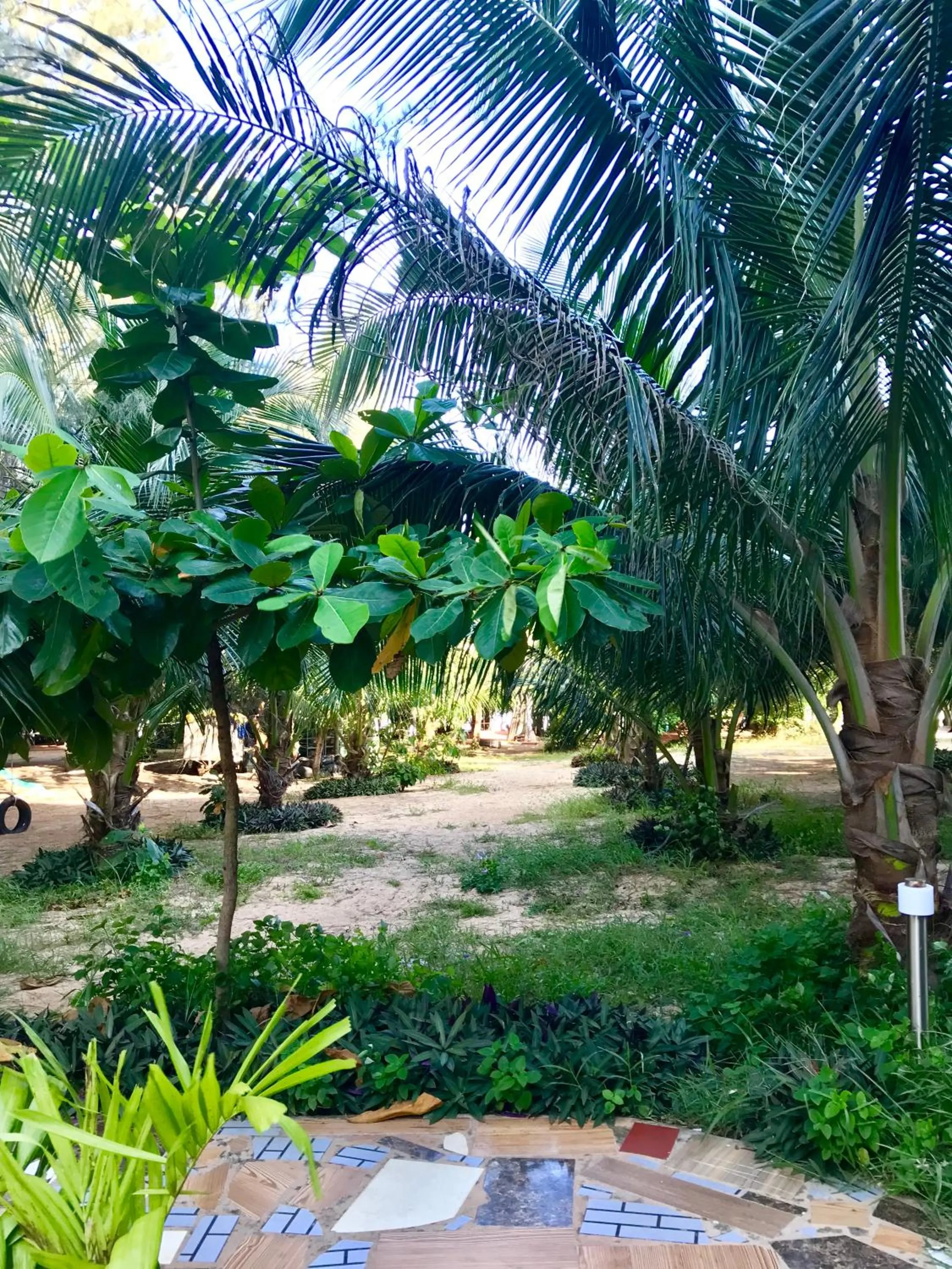 Property building in Oceanward Hotel & Resort