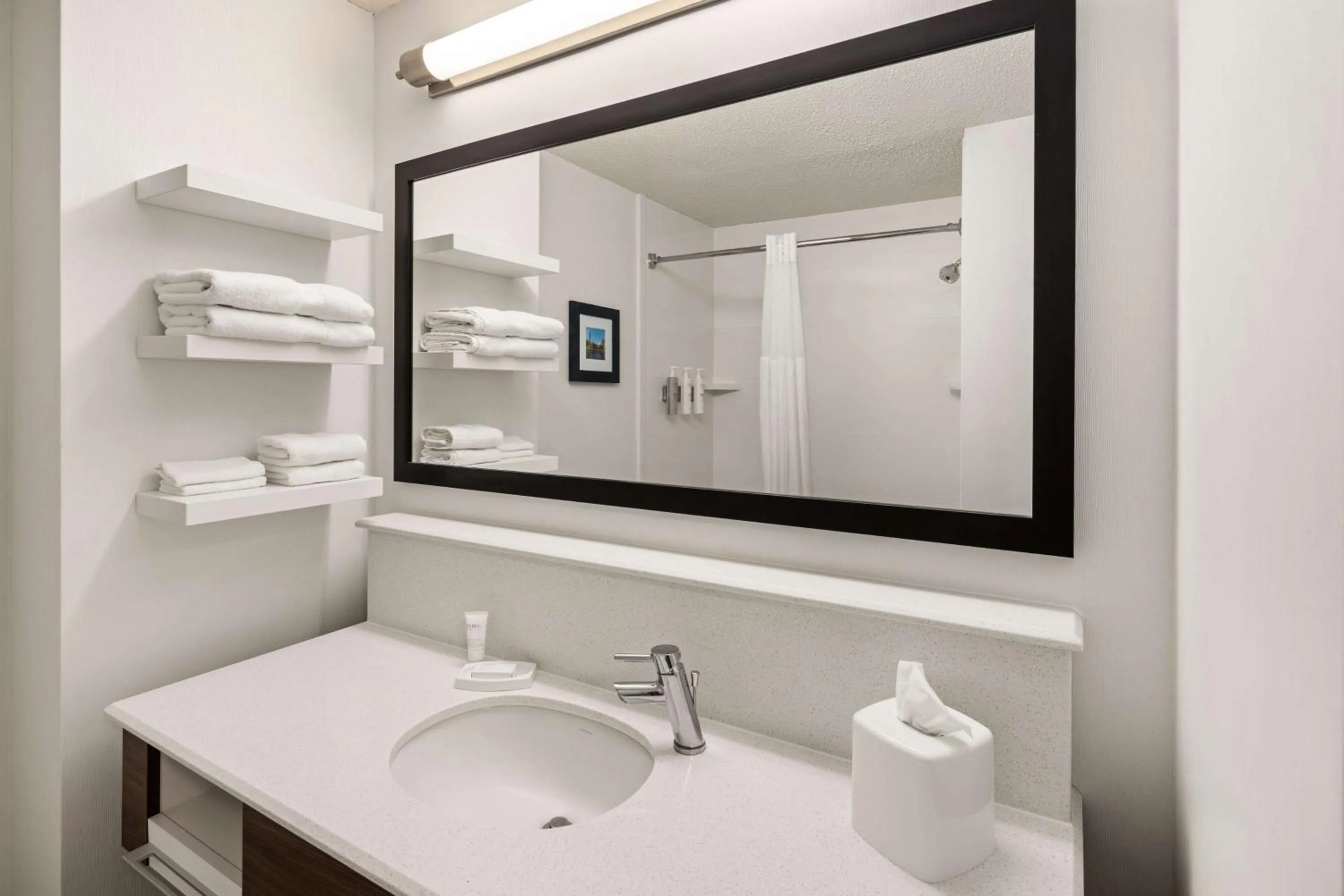 Bathroom in Hampton Inn Minneapolis Northwest Maple Grove