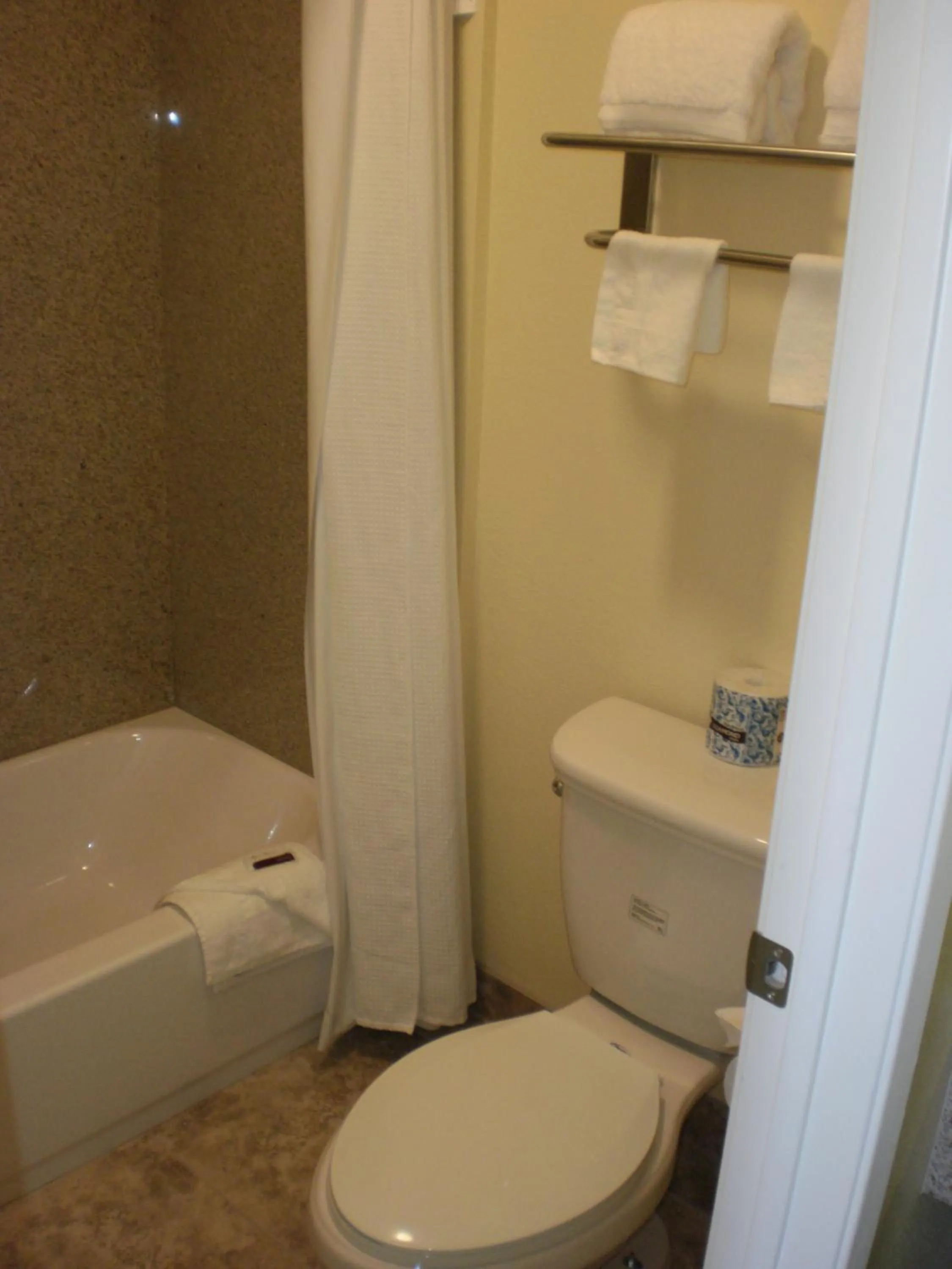 Bathroom in Executive Inn Mojave