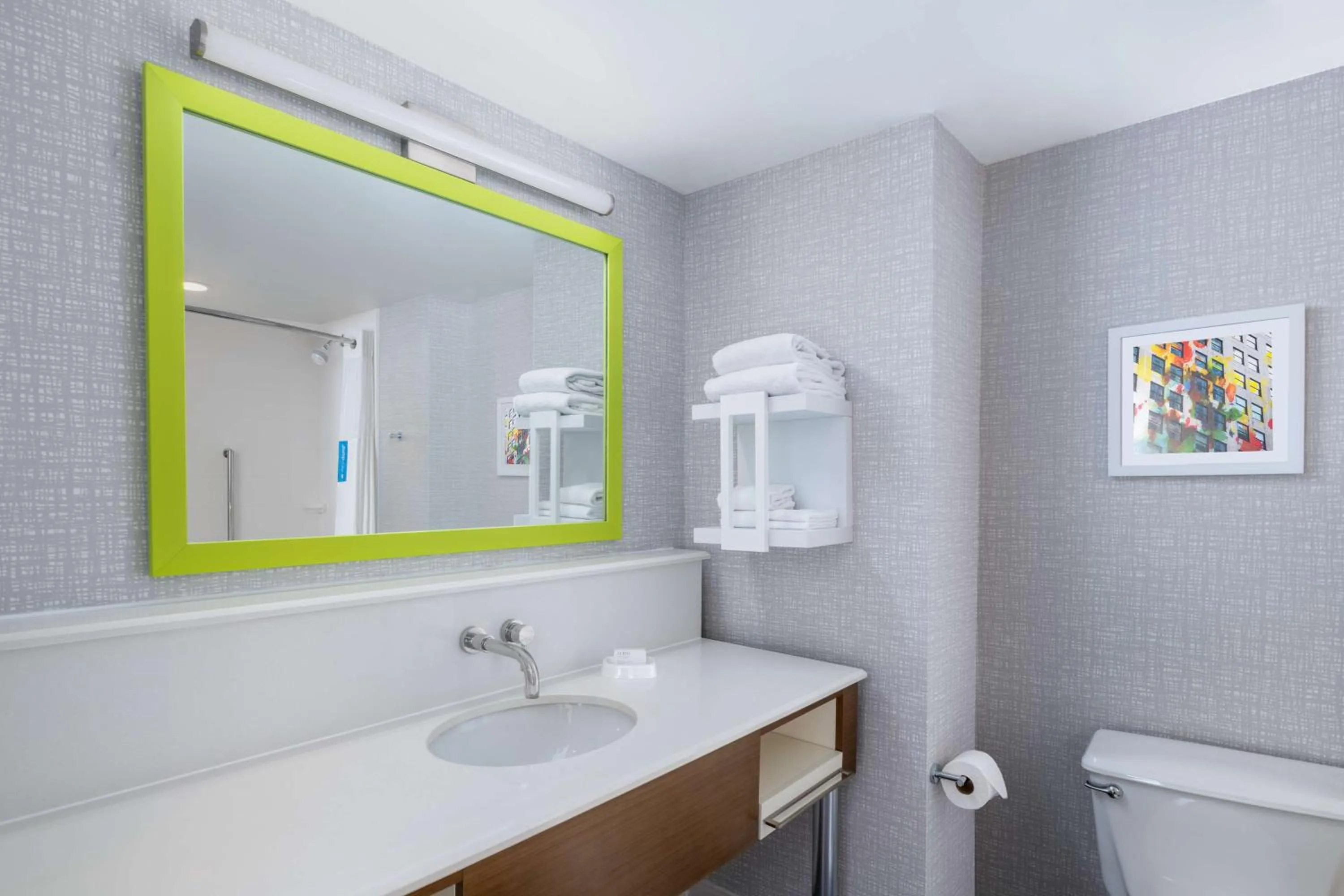 Bathroom in Hampton Inn Martinsburg