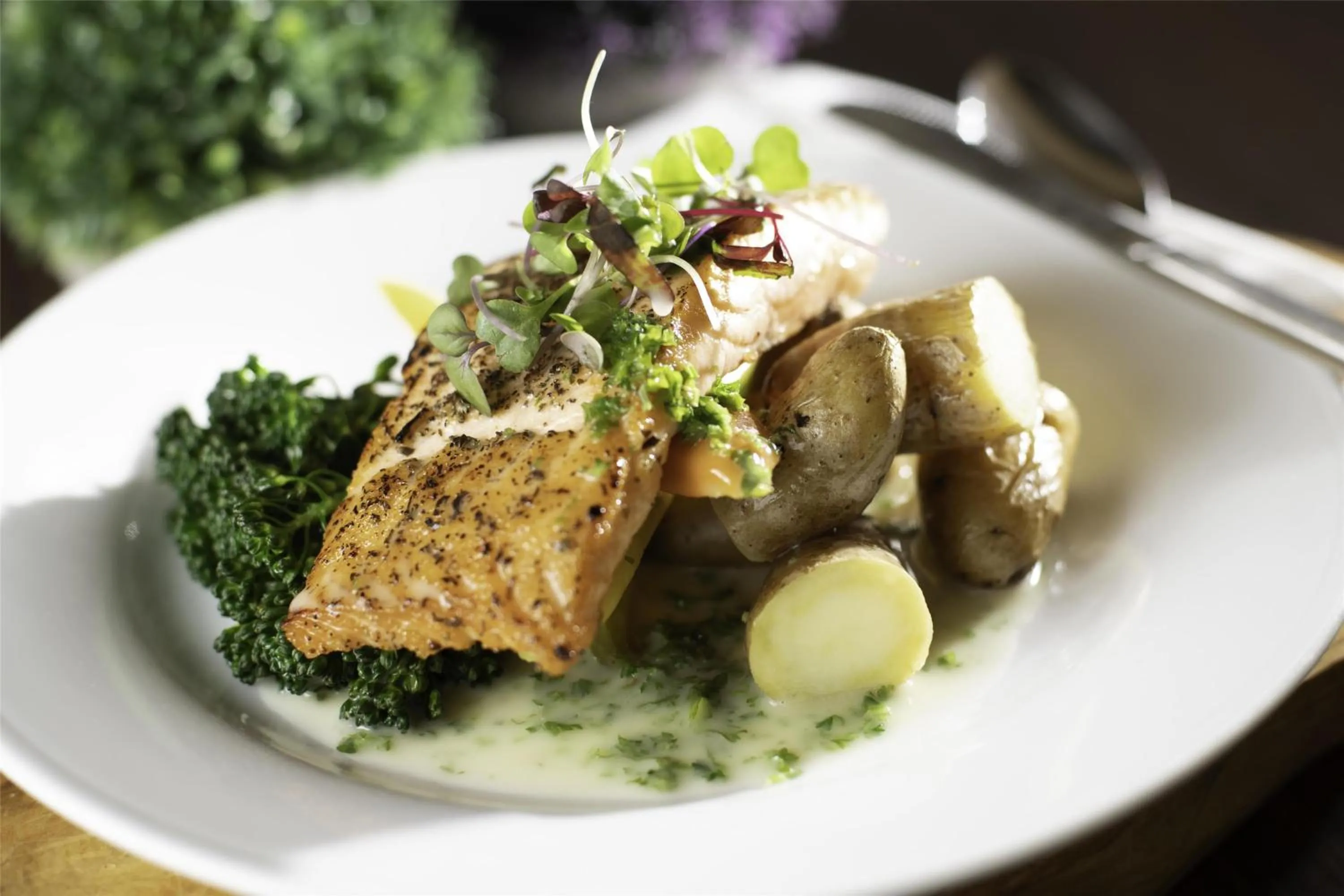 Restaurant/places to eat in Hilton Garden Inn Fayetteville/Fort Bragg