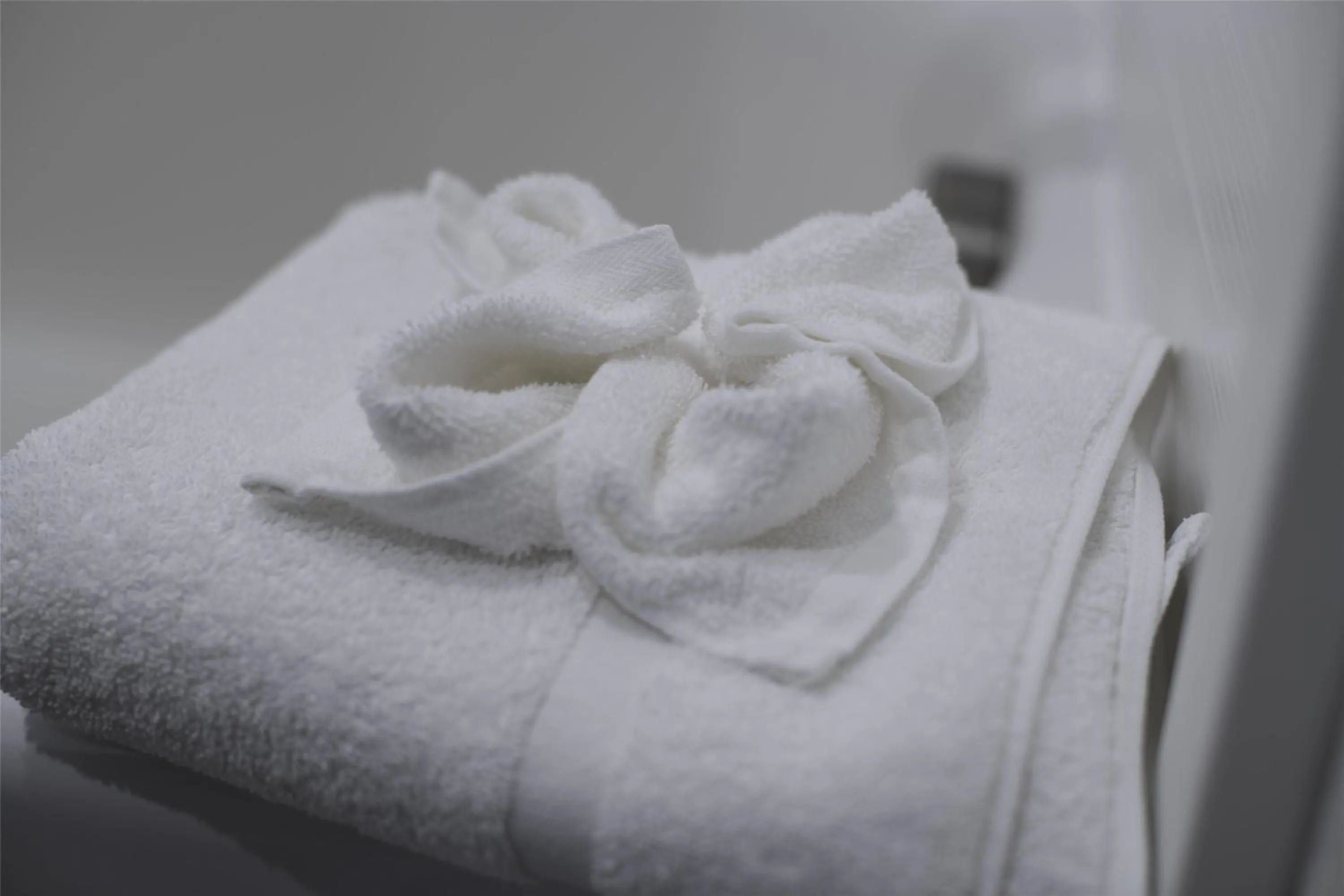 Bathroom, Bed in Hilton Garden Inn Fayetteville/Fort Bragg