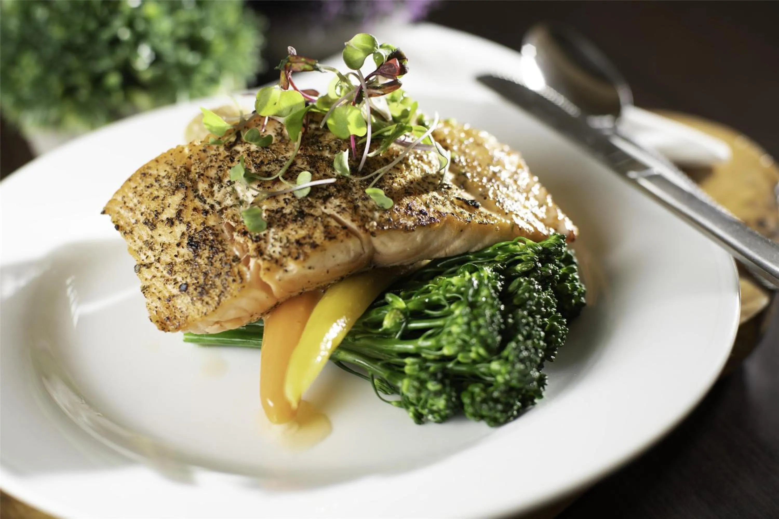 Restaurant/places to eat in Hilton Garden Inn Fayetteville/Fort Bragg