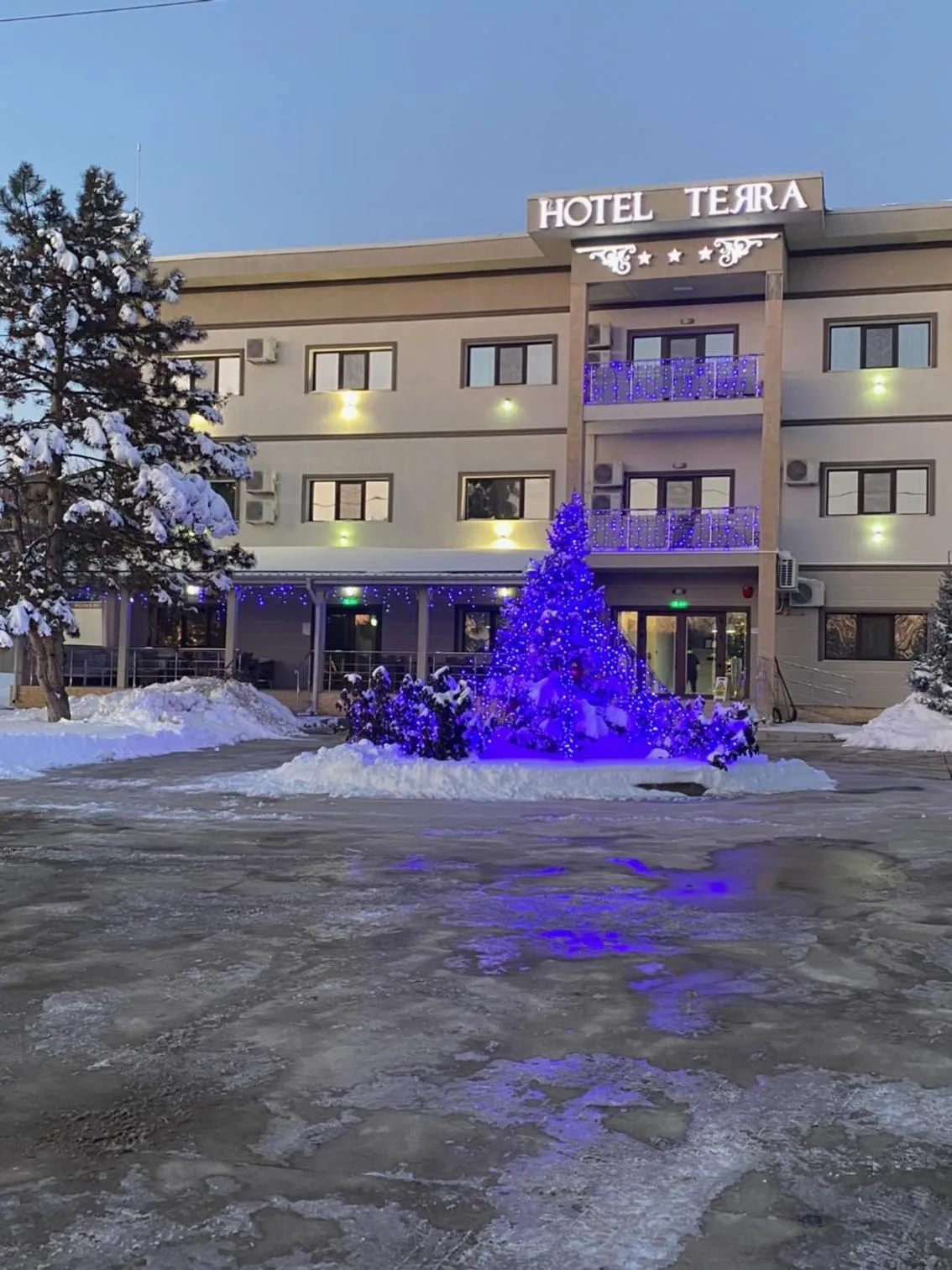 Hotel Terra Iasi