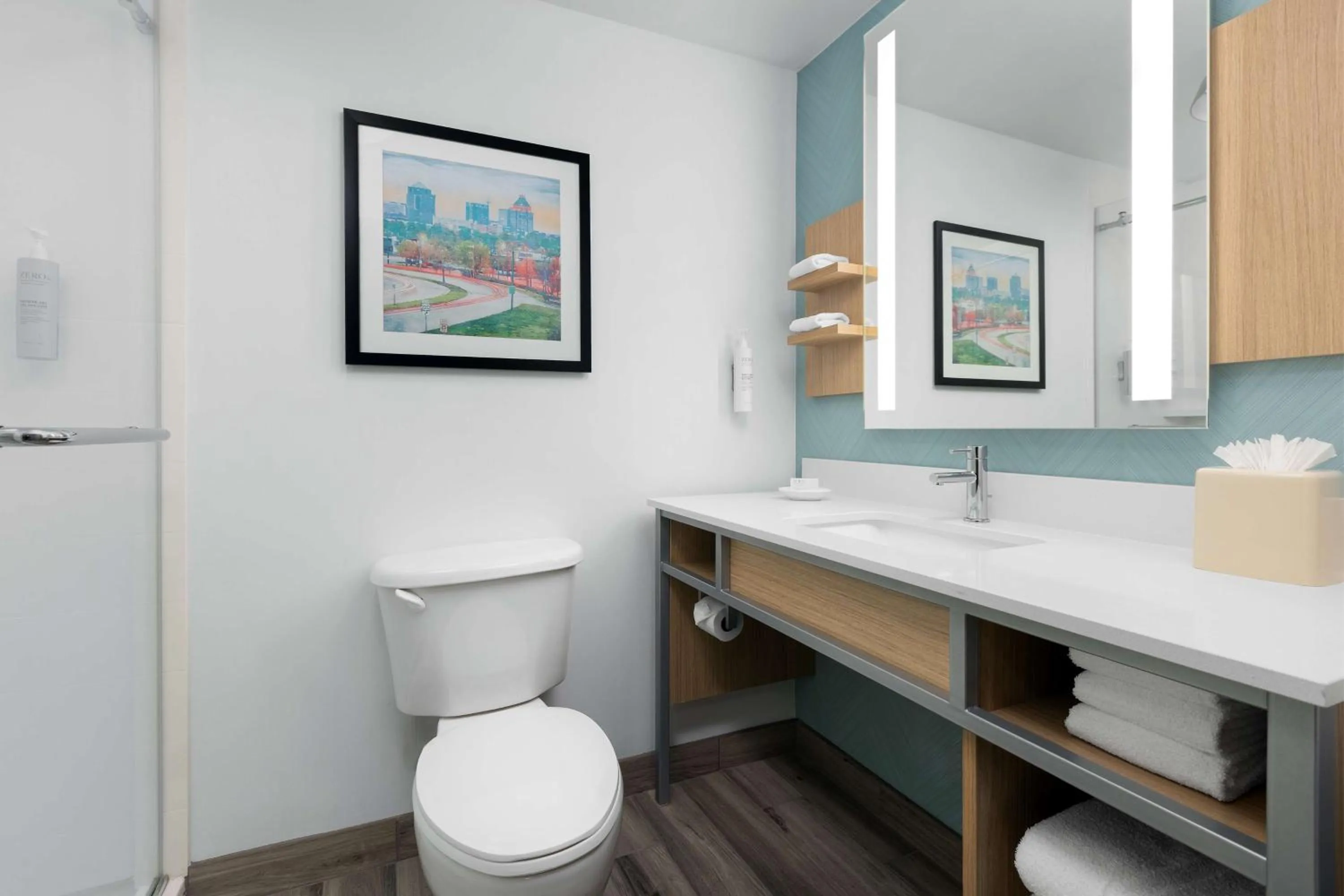 Bathroom in Hilton Garden Inn Greensboro