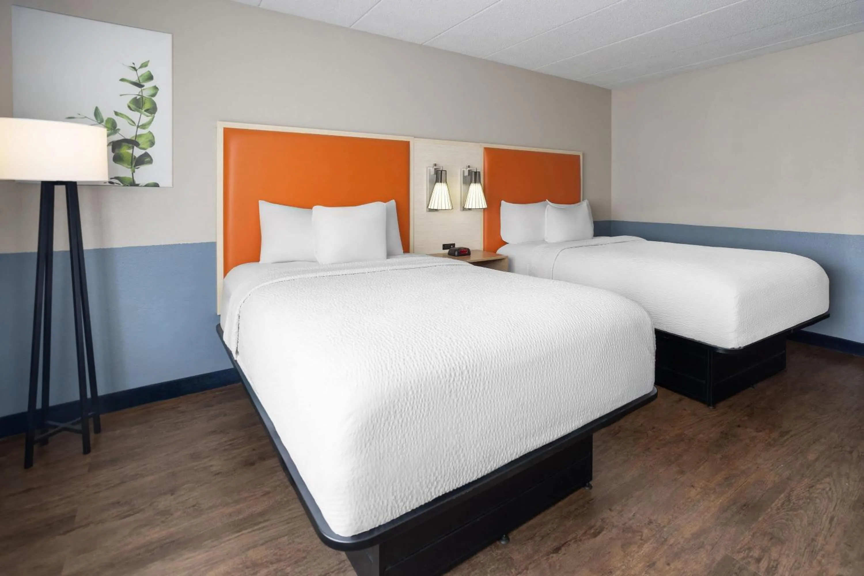 Photo of the whole room, Bed in Baymont by Wyndham Westampton