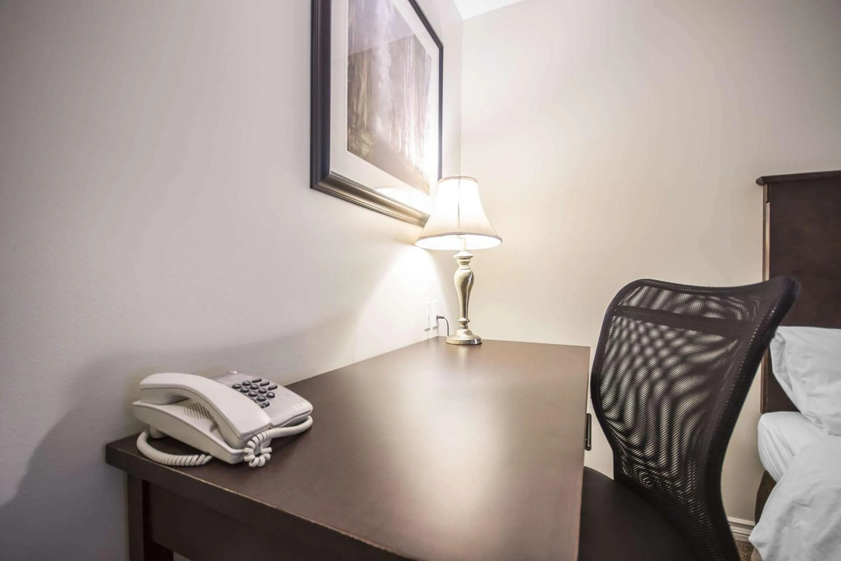 Photo of the whole room in Econo Lodge