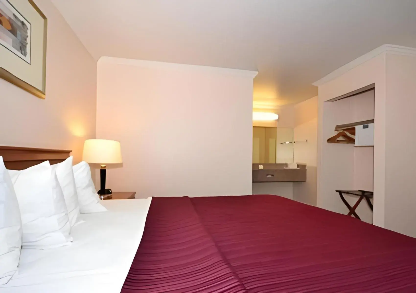 King Room in Quality Inn & Suites Gilroy King Room in Quality Inn & Suites Gilroy