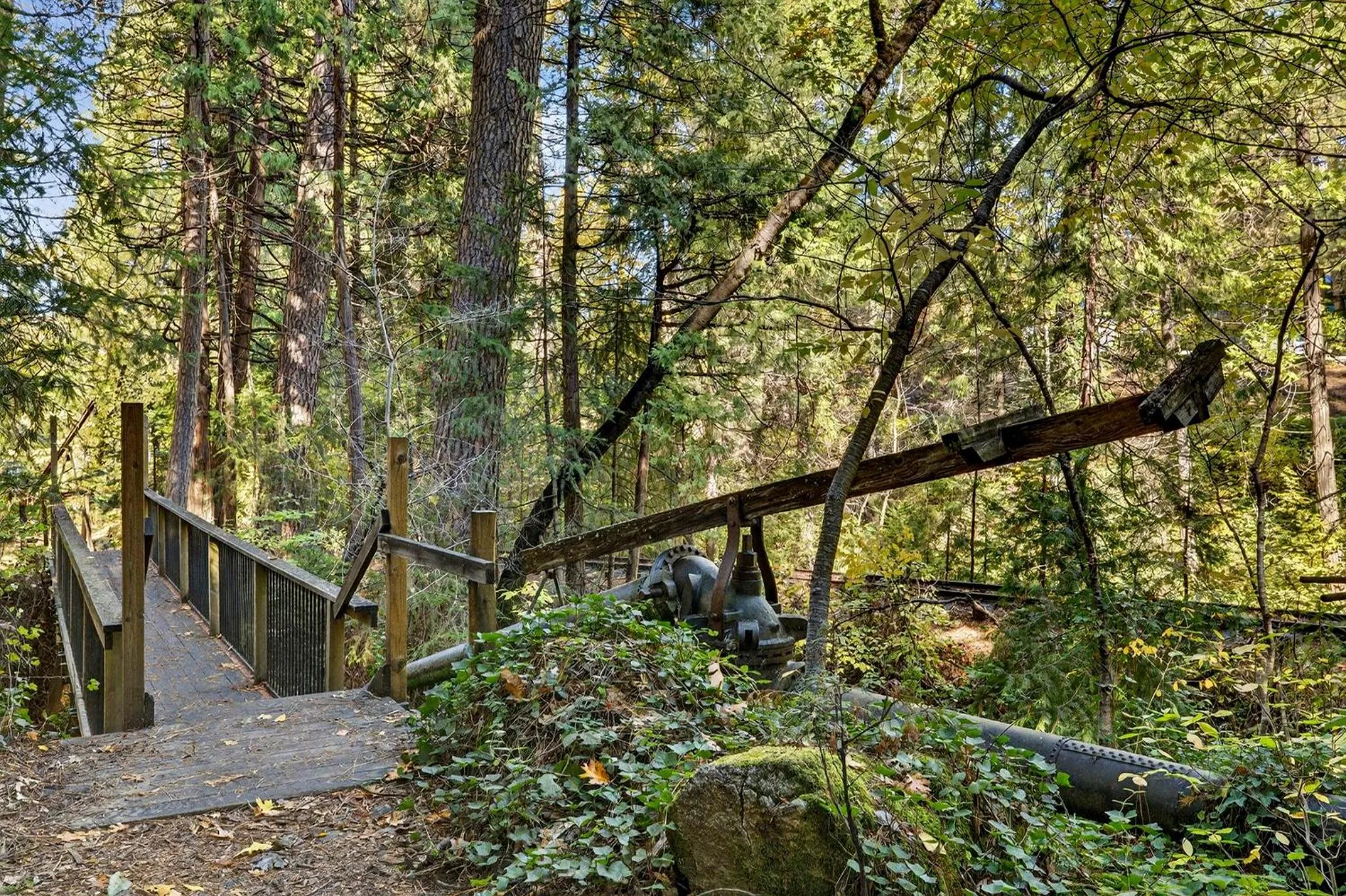 Natural landscape in Northern Queen Inn