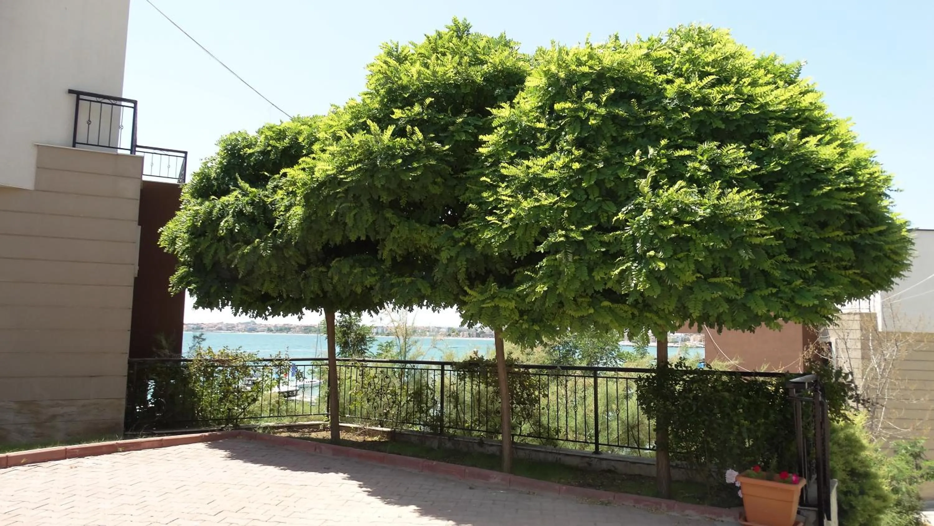 Akrotiria Beach Apart Complex