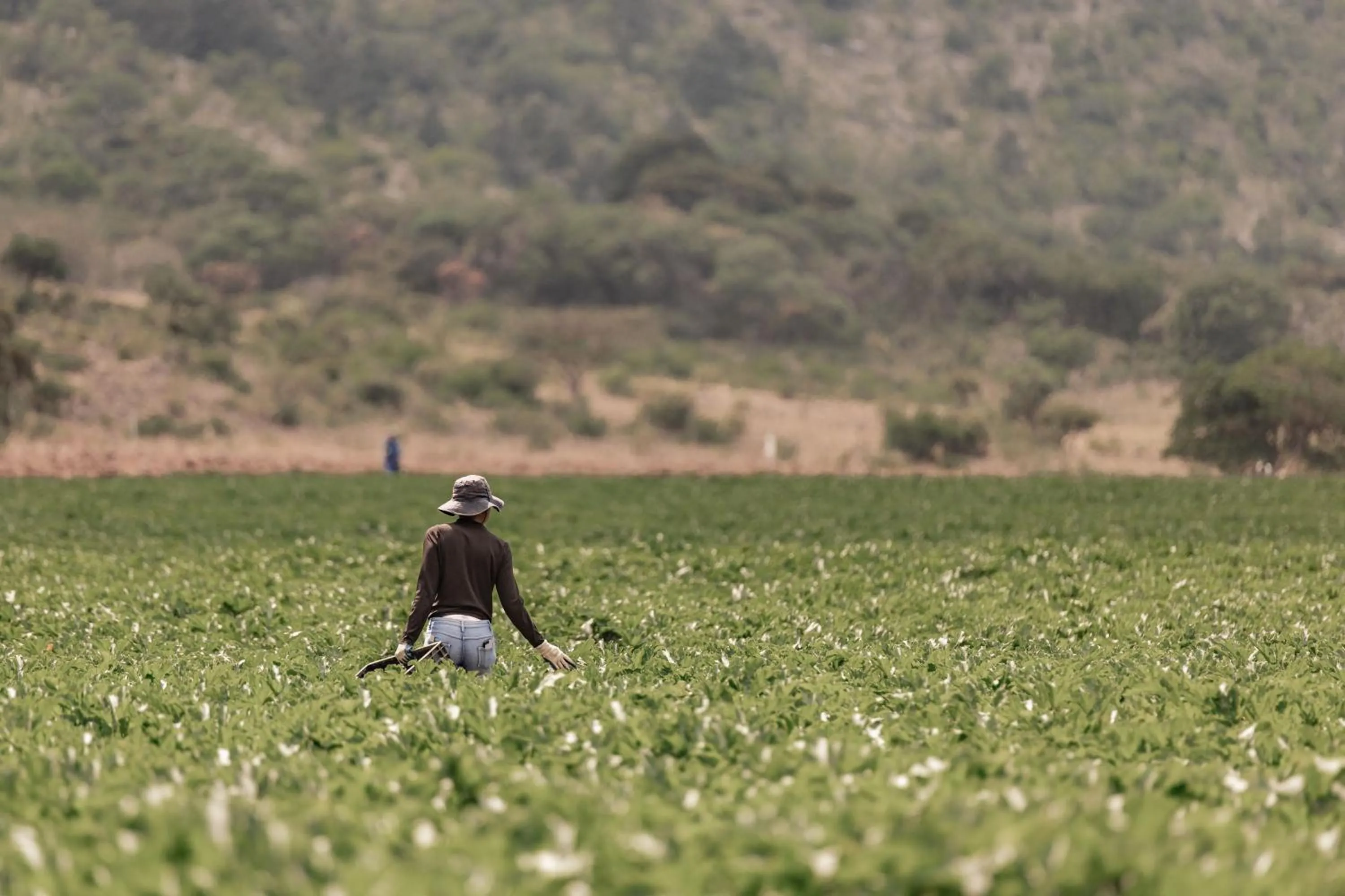 Natural landscape in Dawsons Game Lodge