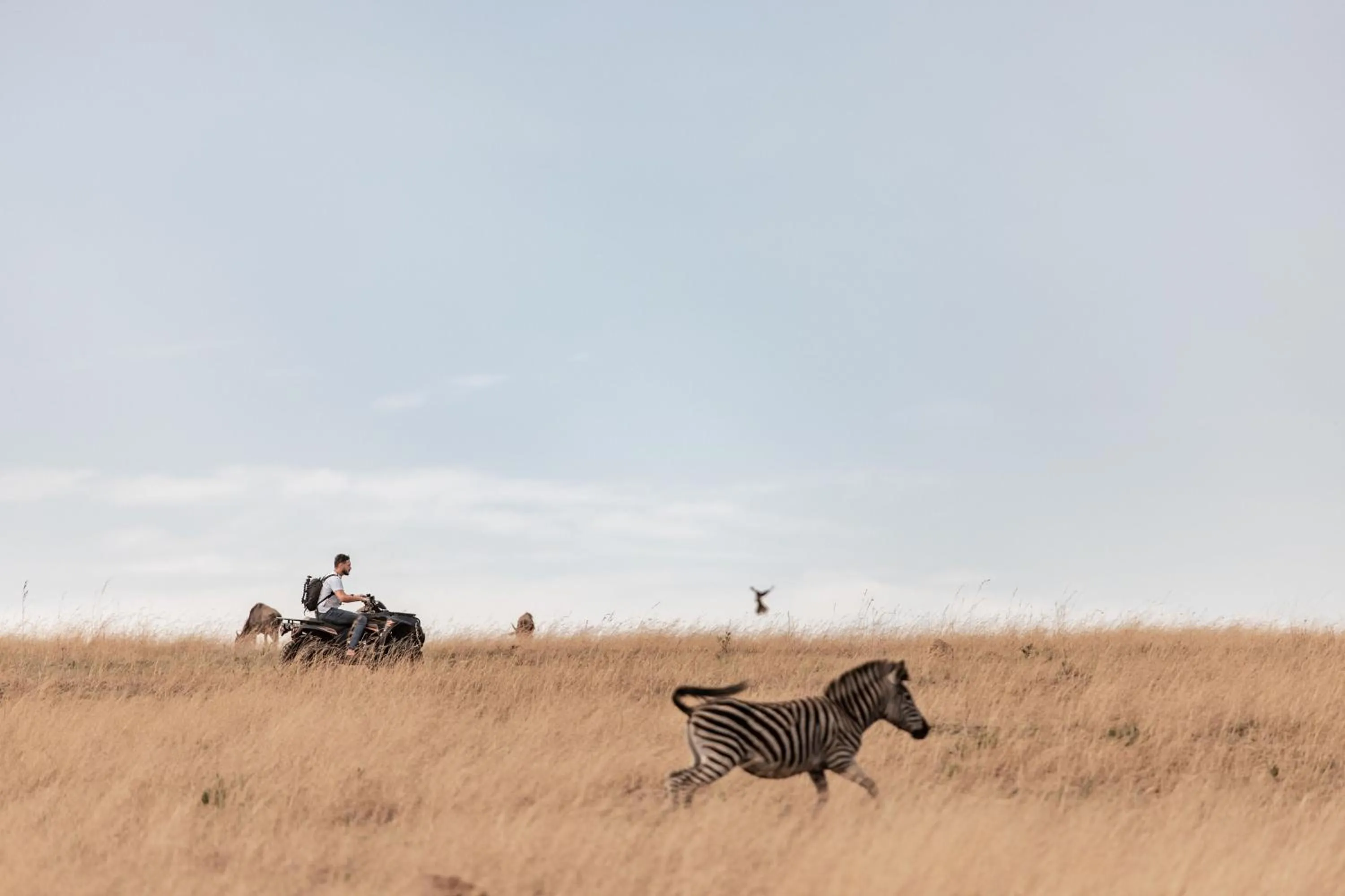 Natural landscape in Dawsons Game Lodge