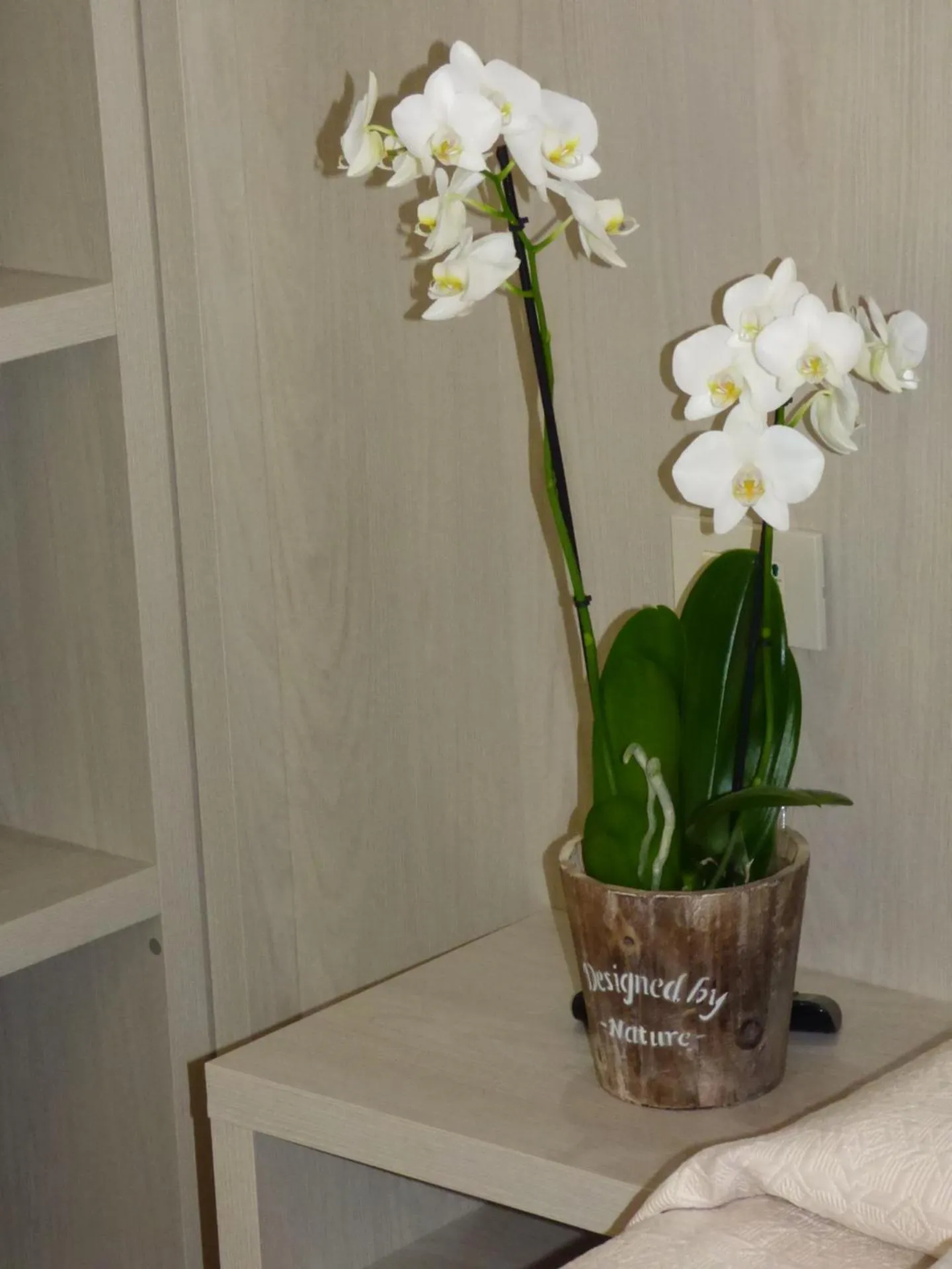 Decorative detail in Design Hotel Astra B&B