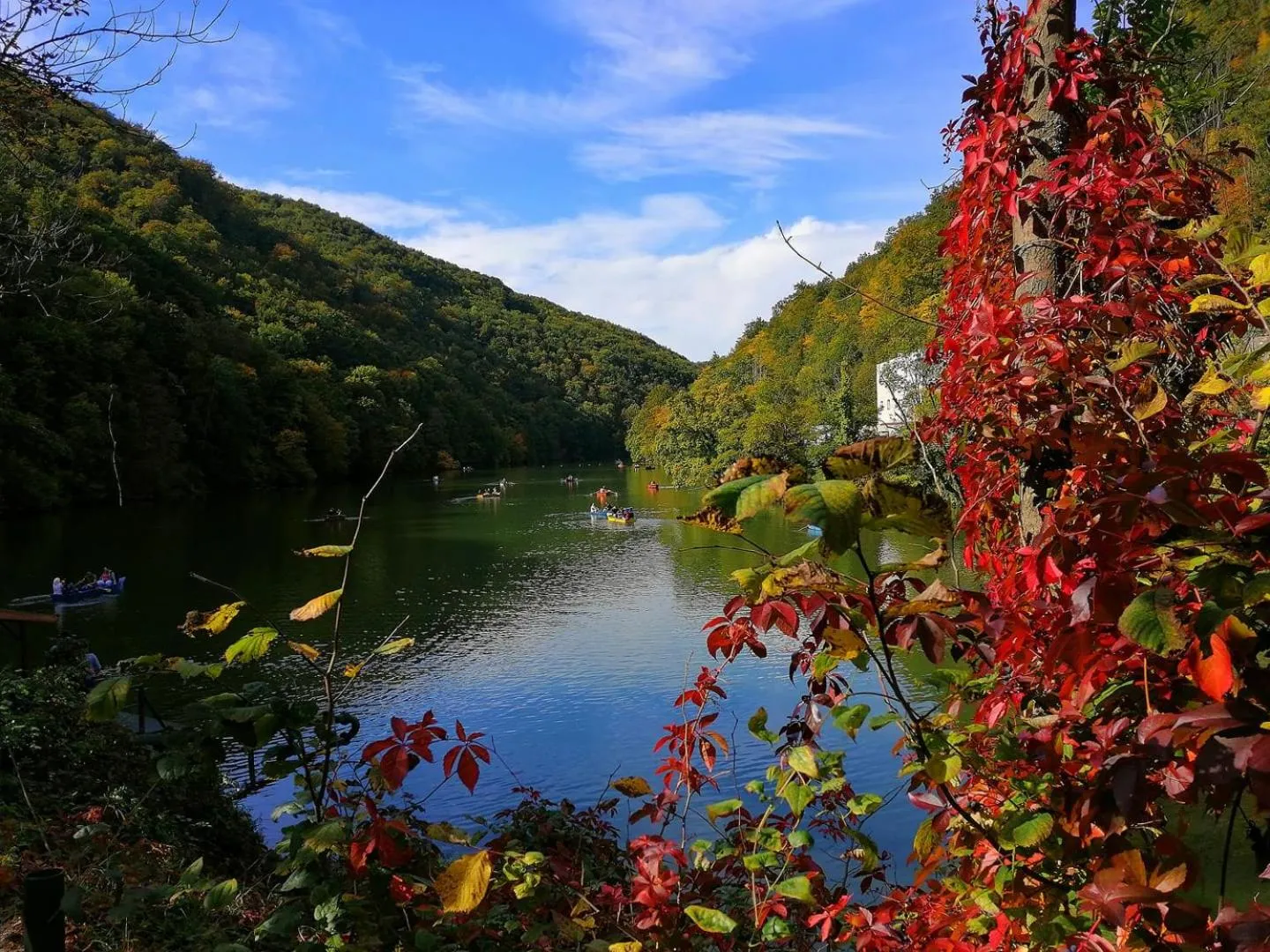 Lake view in Hotel Tókert Szálloda és Étterem