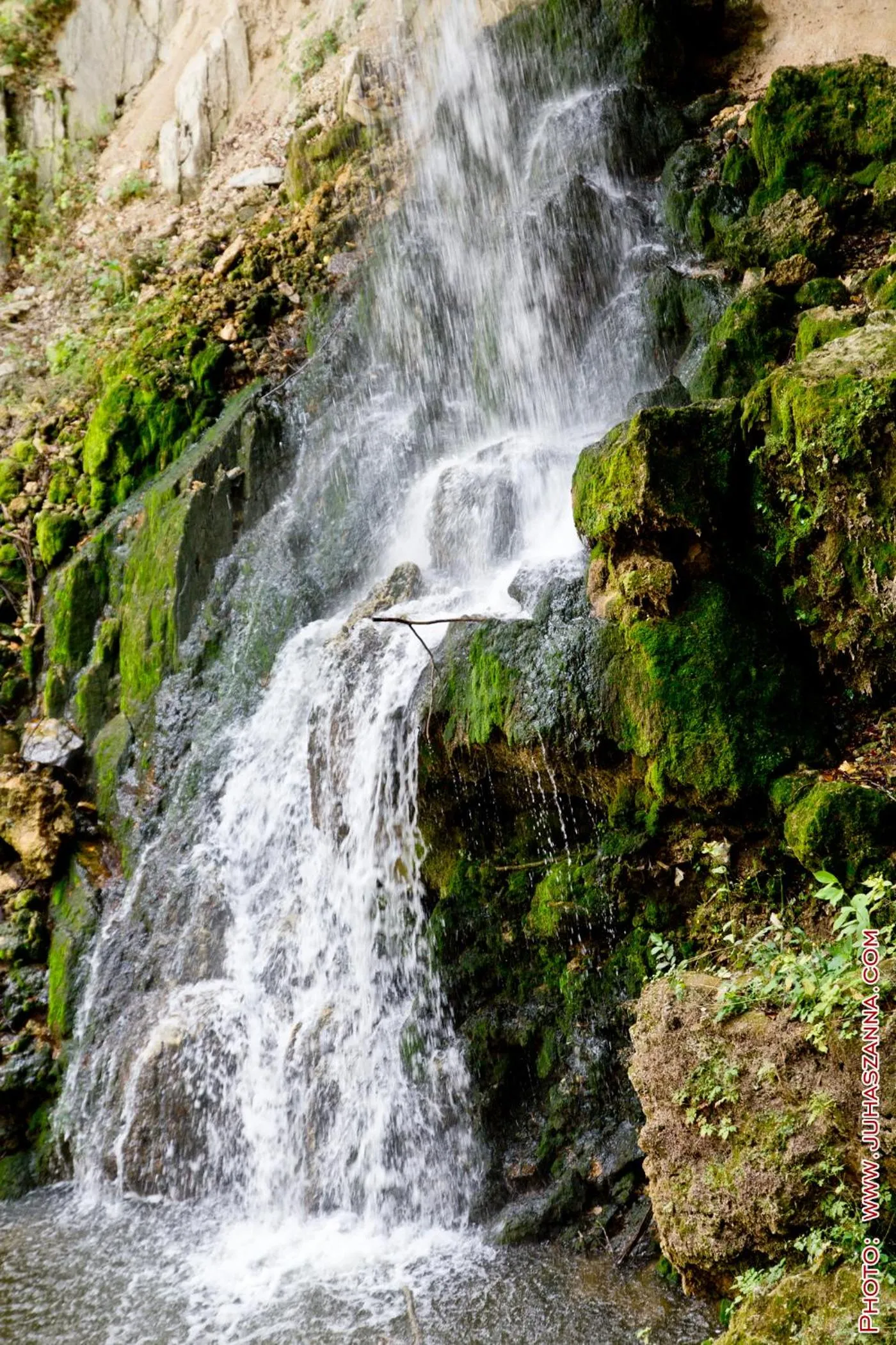 Natural landscape in Hotel Tókert Szálloda és Étterem