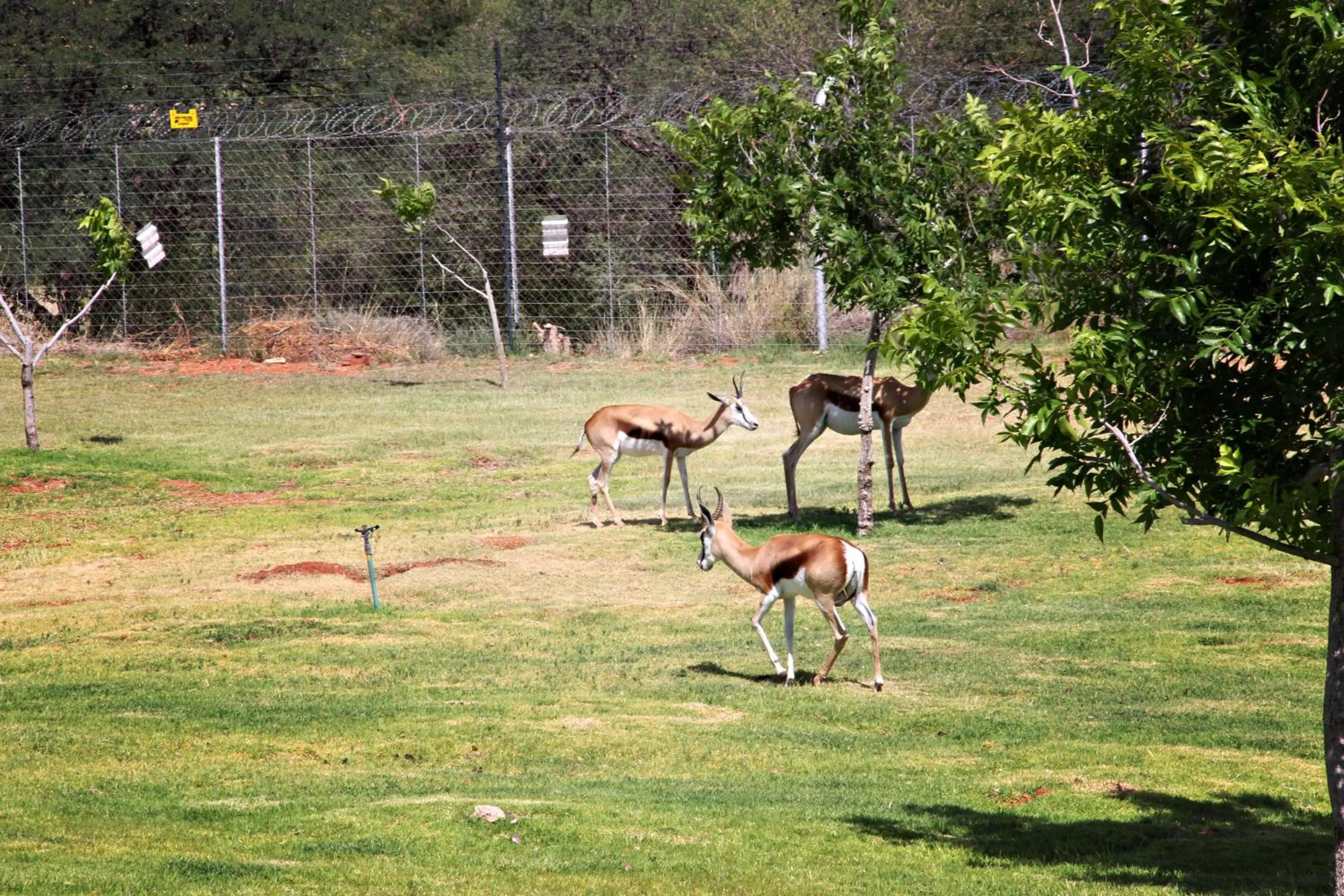 Natural landscape in Browns Manor
