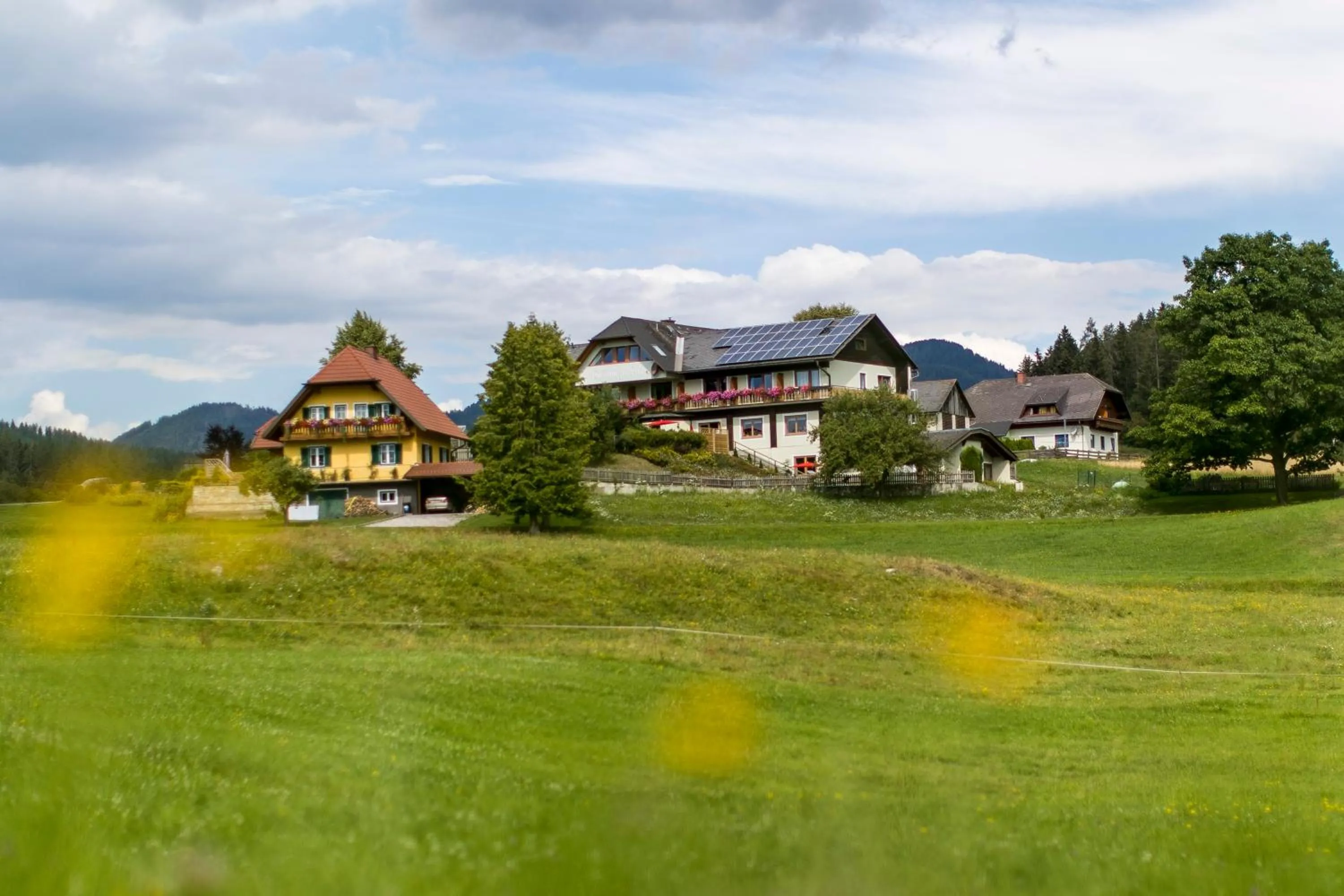 Neighbourhood in Hotel Gasthof zur Linde