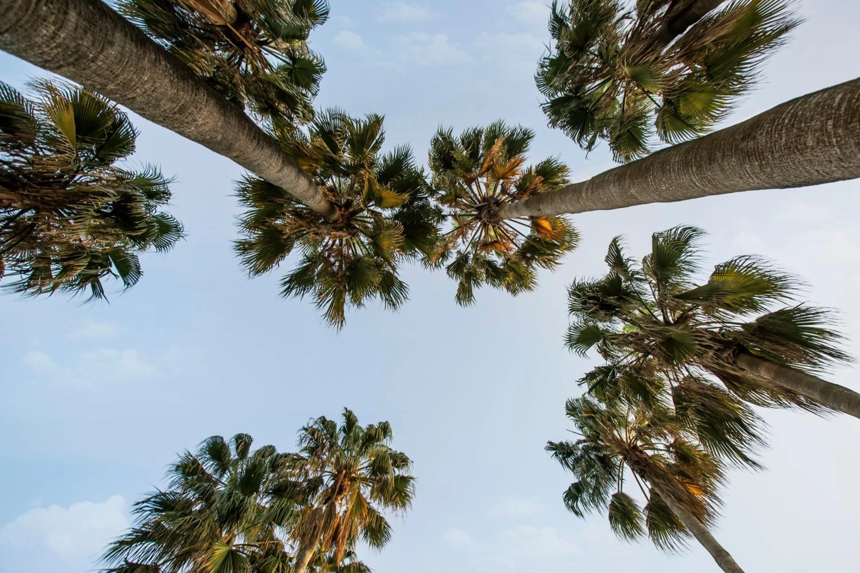 Garden in Acanthus Cennet Barut Collection - Ultra All Inclusive