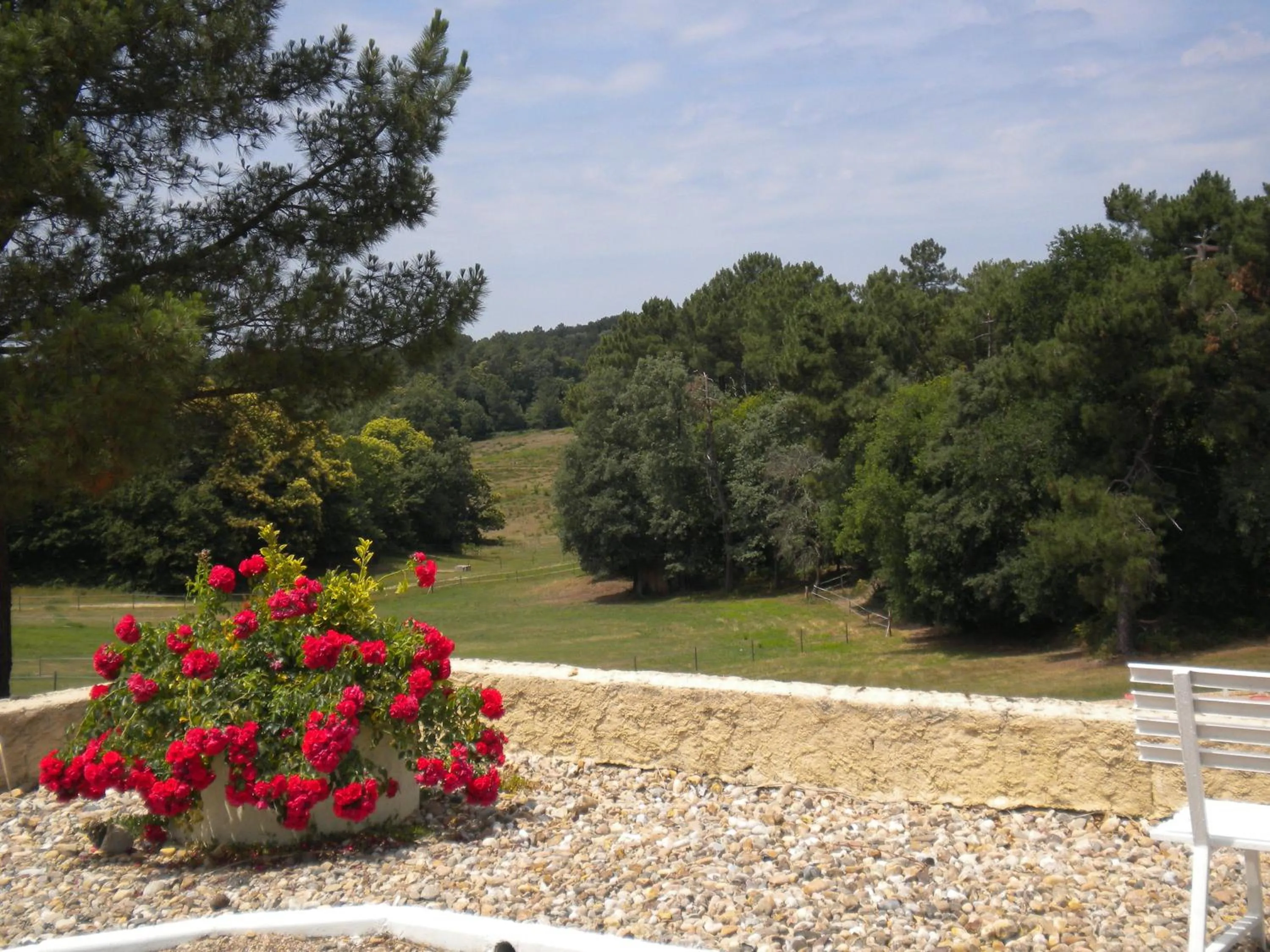 View (from property/room) in Hotel Restaurant Logis Le Tropicana